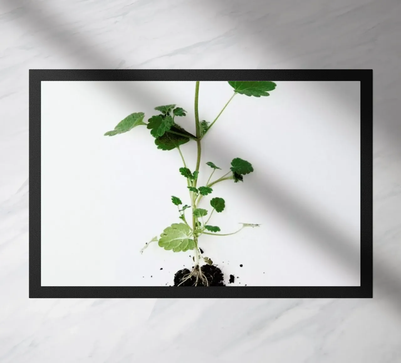 Root Fußmatte von Miles of Light