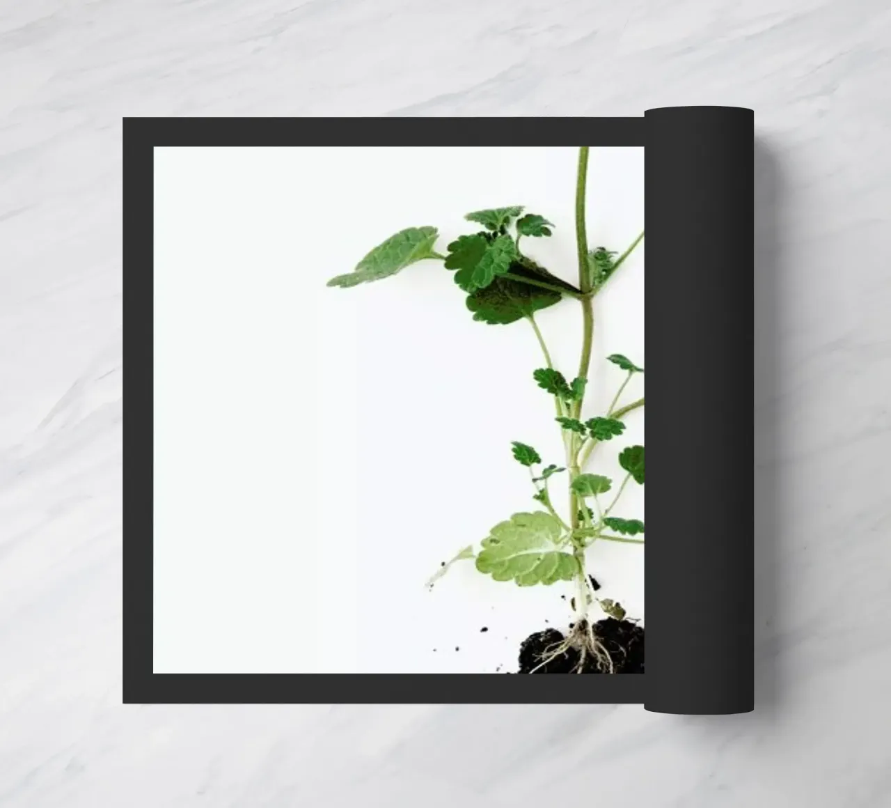 Root Fußmatte von Miles of Light