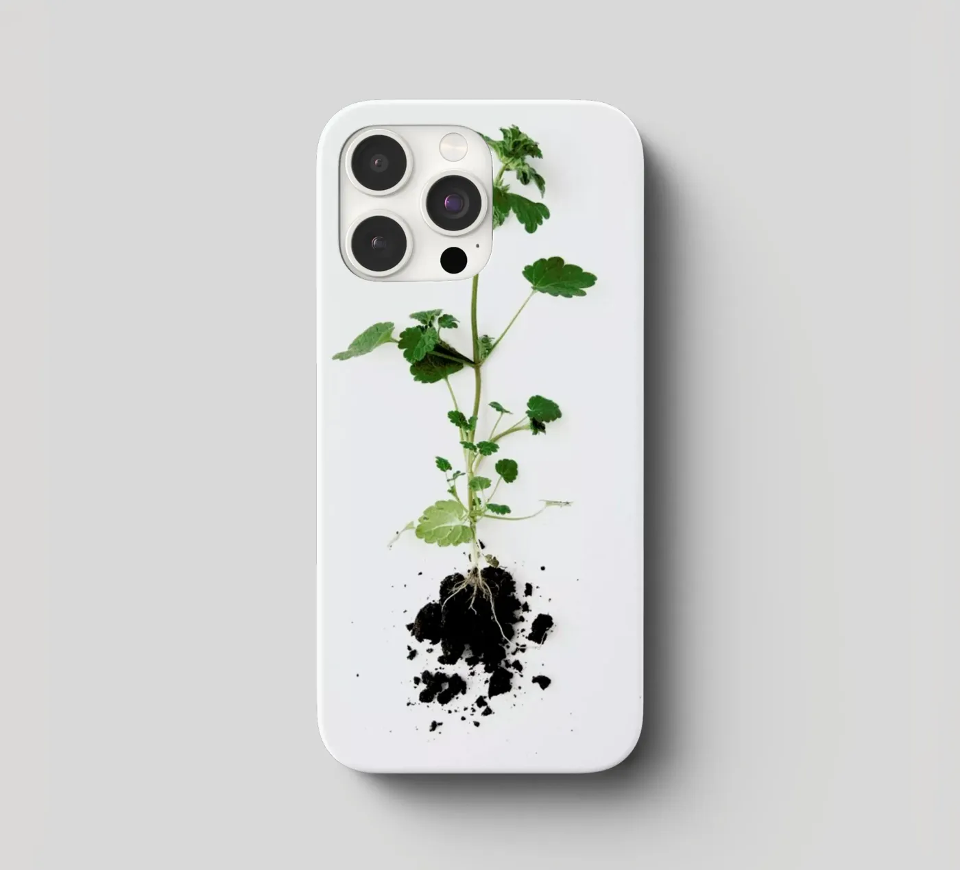 Root cover iphone da Miles of Light