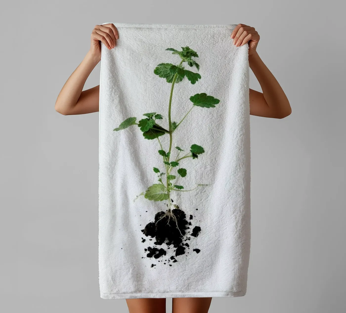 Root towel by Miles of Light
