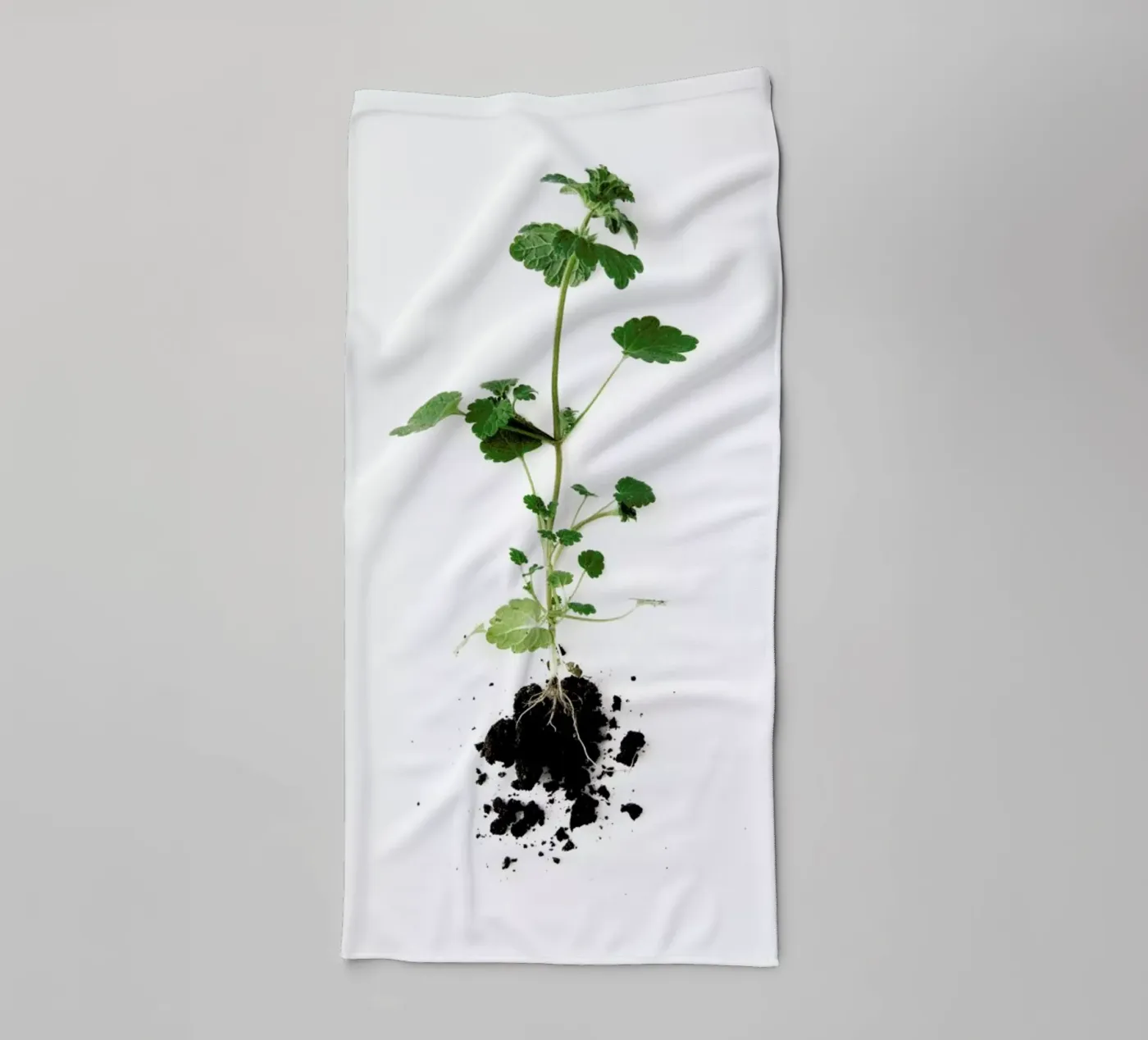 Root towel by Miles of Light
