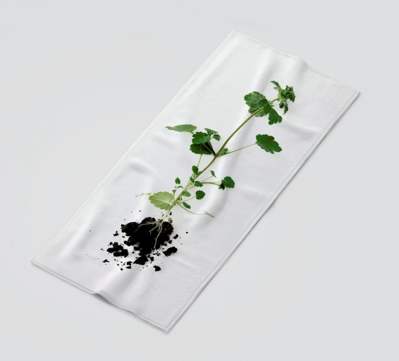 Root Strandtuch von Miles of Light