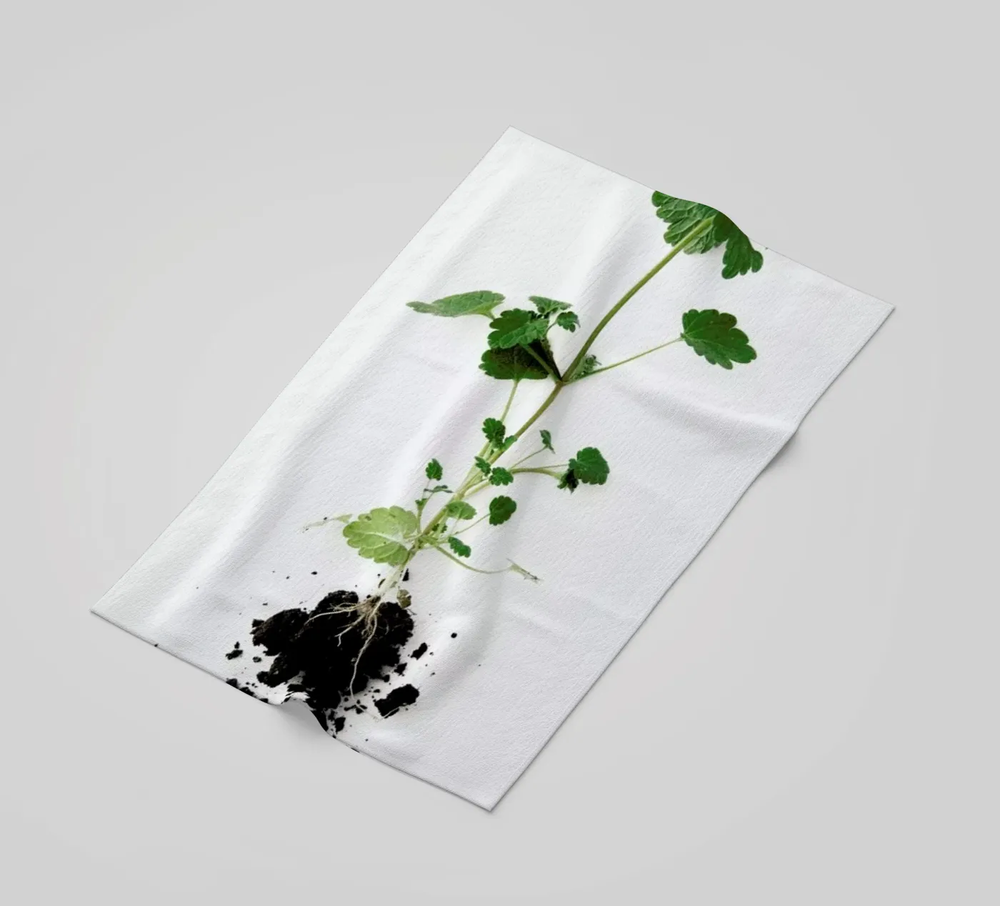 Root Strandtuch von Miles of Light