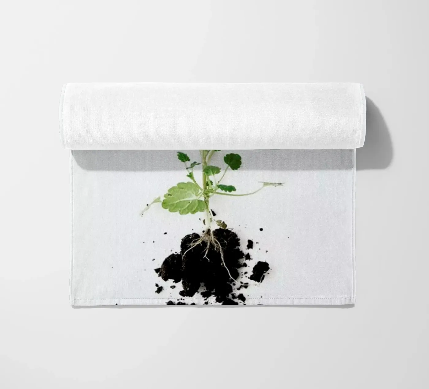 Root telo mare da Miles of Light