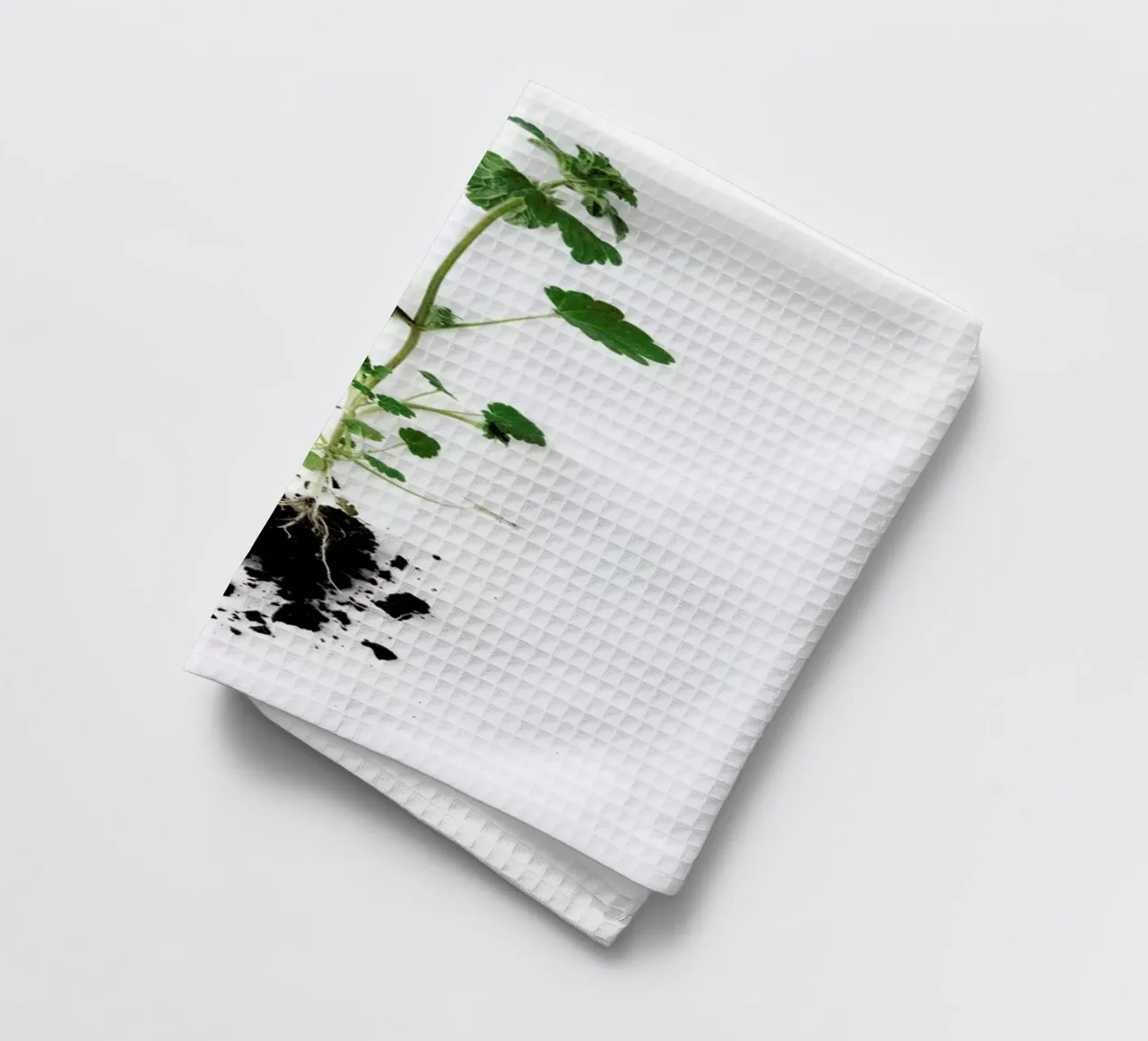 Root Geschirrtuch von Miles of Light