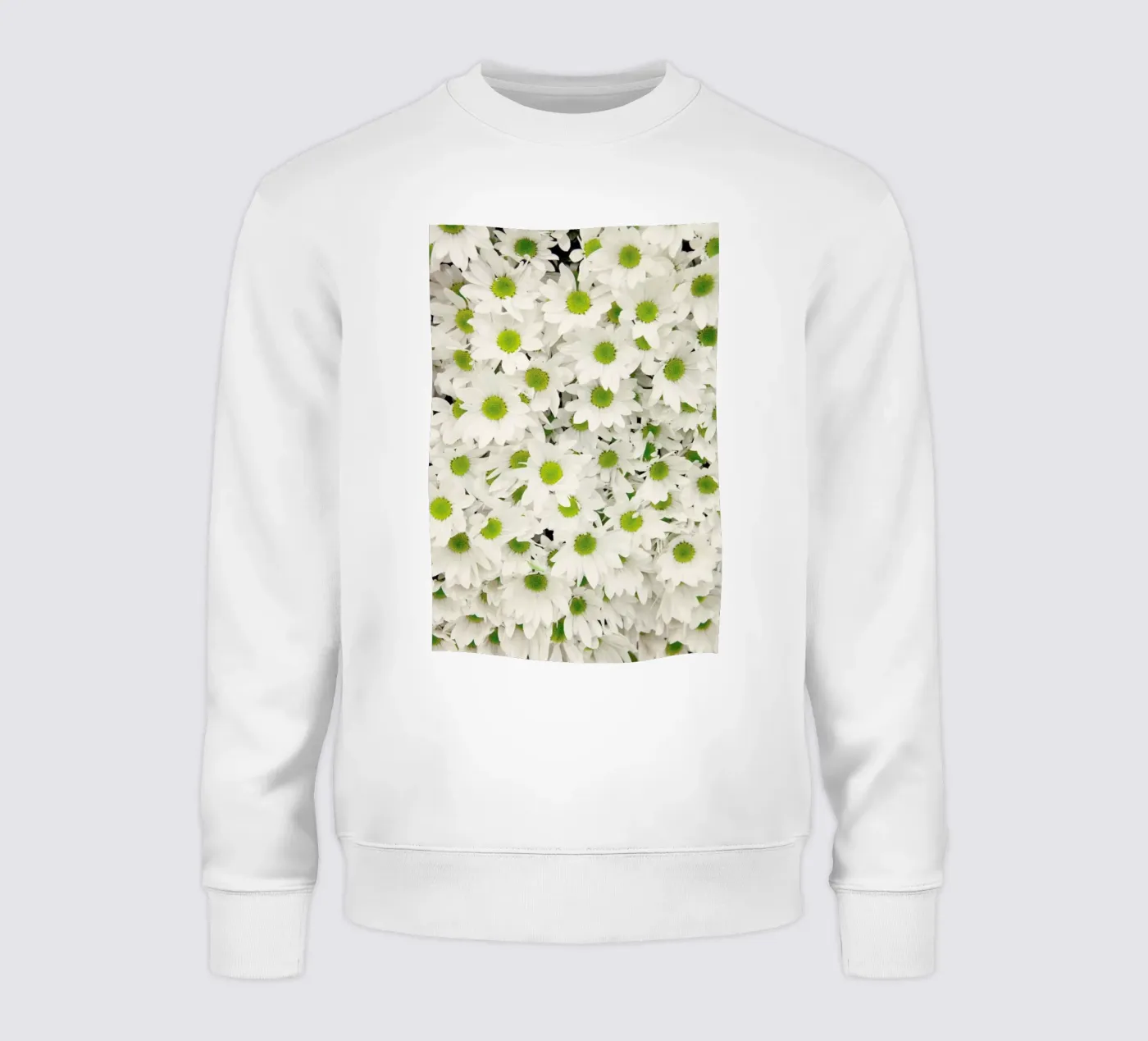 Daisy felpa da Catherine McDonald