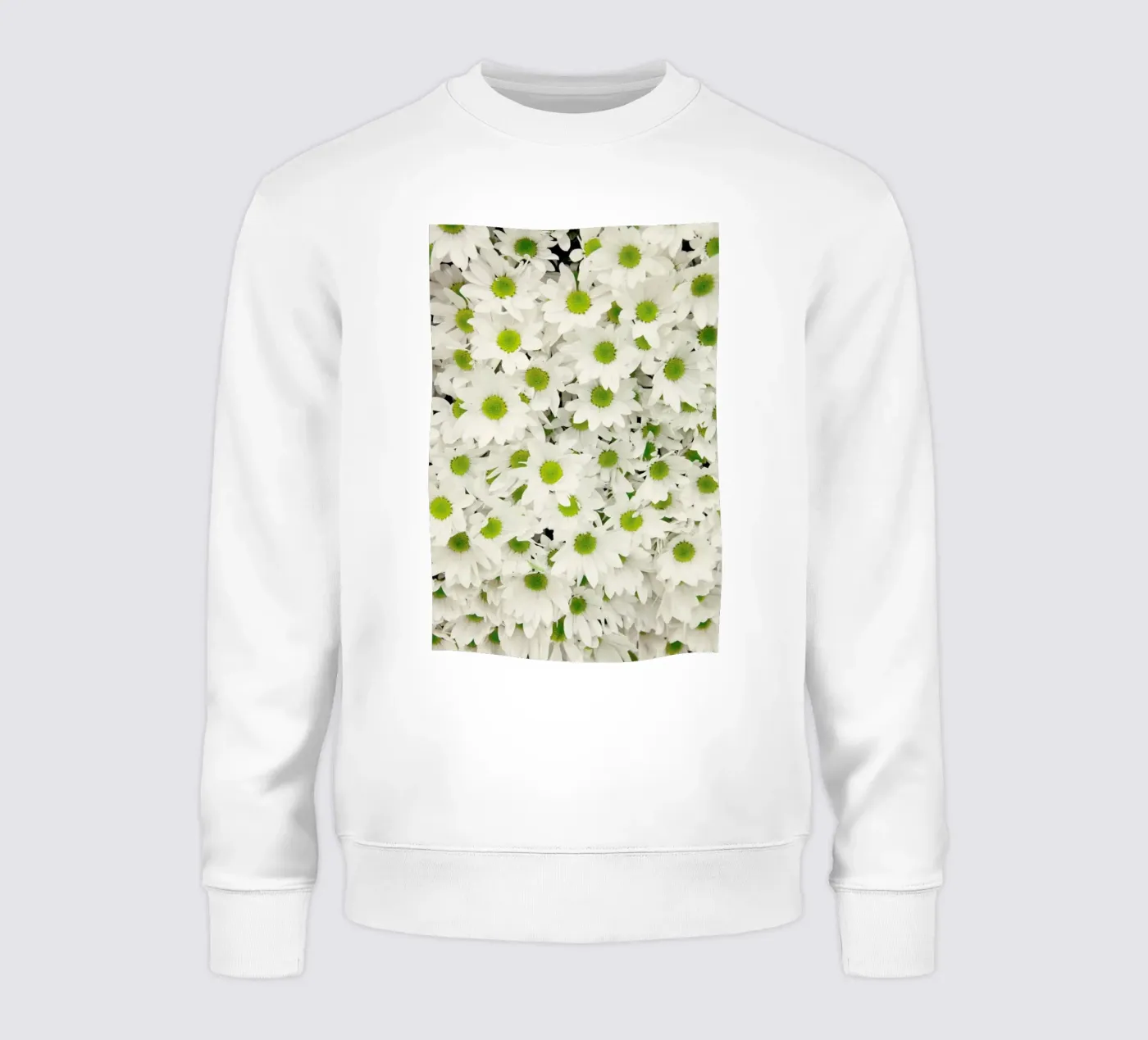 Daisy felpa da Catherine McDonald