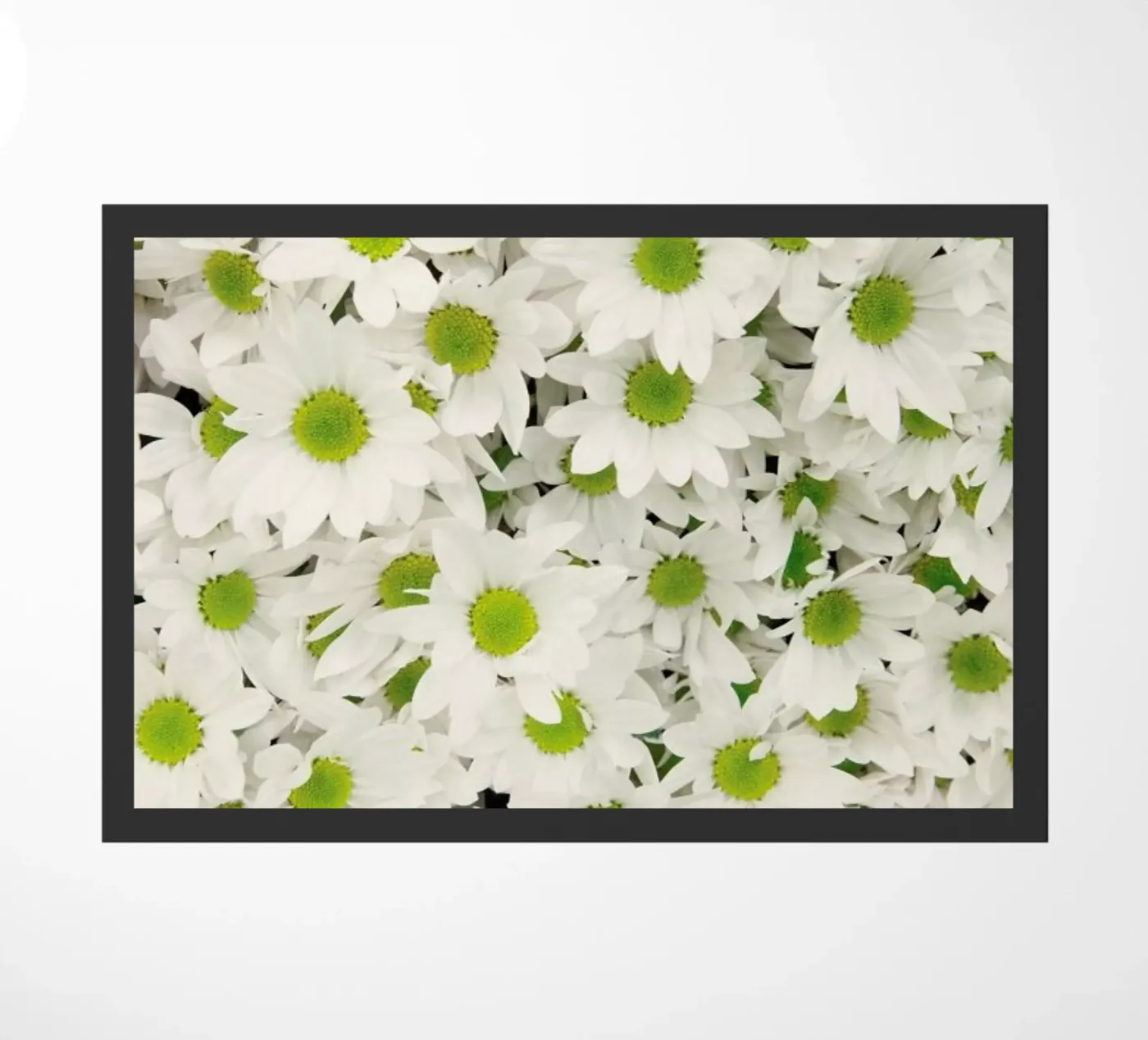 Daisy Fußmatte von Catherine McDonald