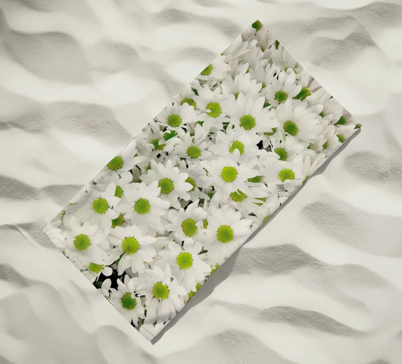 Daisy telo mare da Catherine McDonald