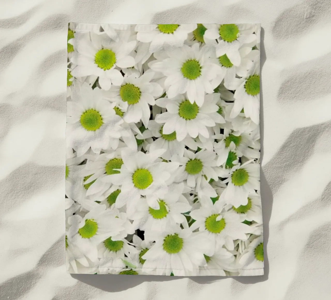 Daisy telo mare da Catherine McDonald