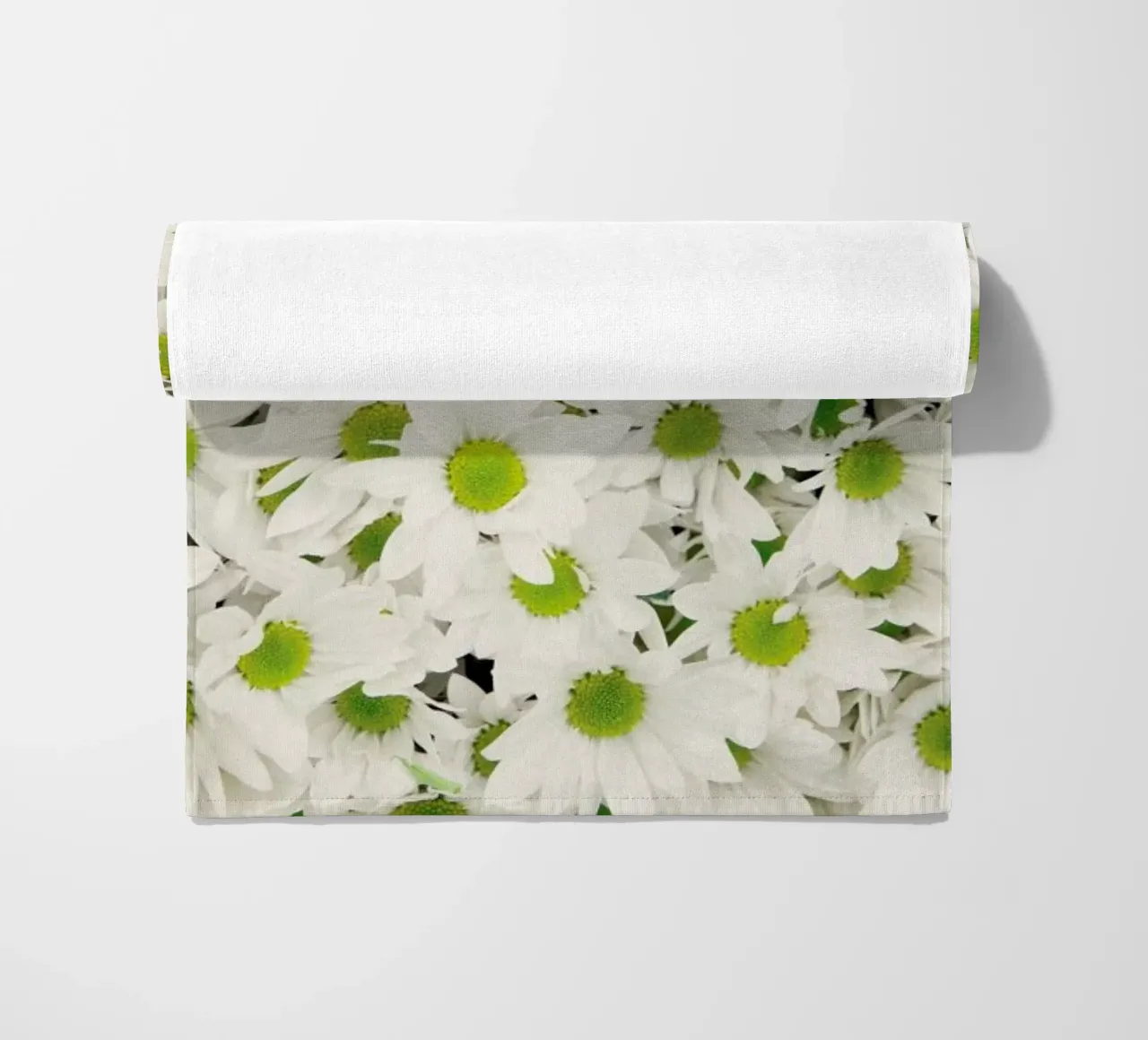 Daisy telo mare da Catherine McDonald