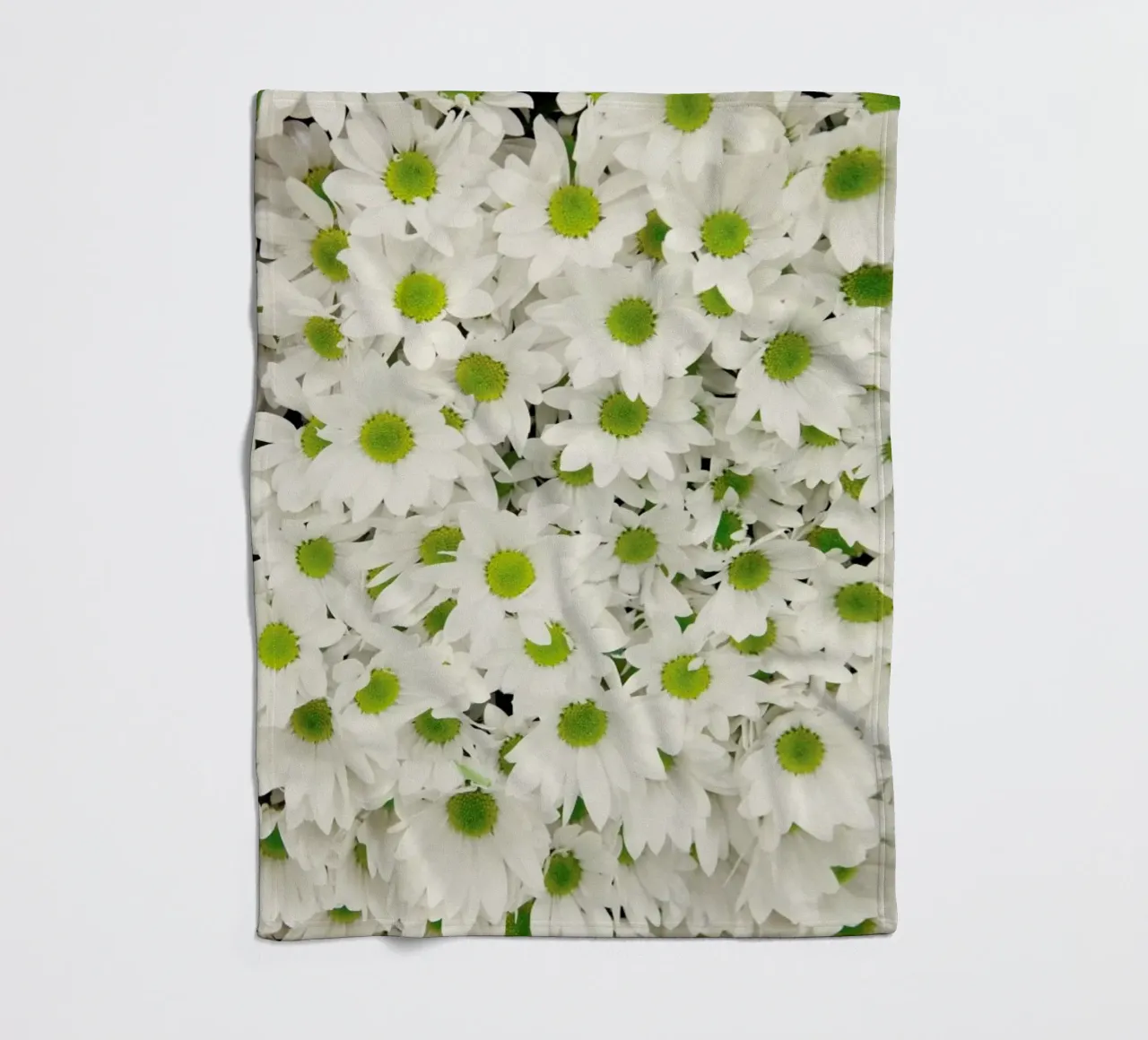 Daisy coperta in pile da Catherine McDonald