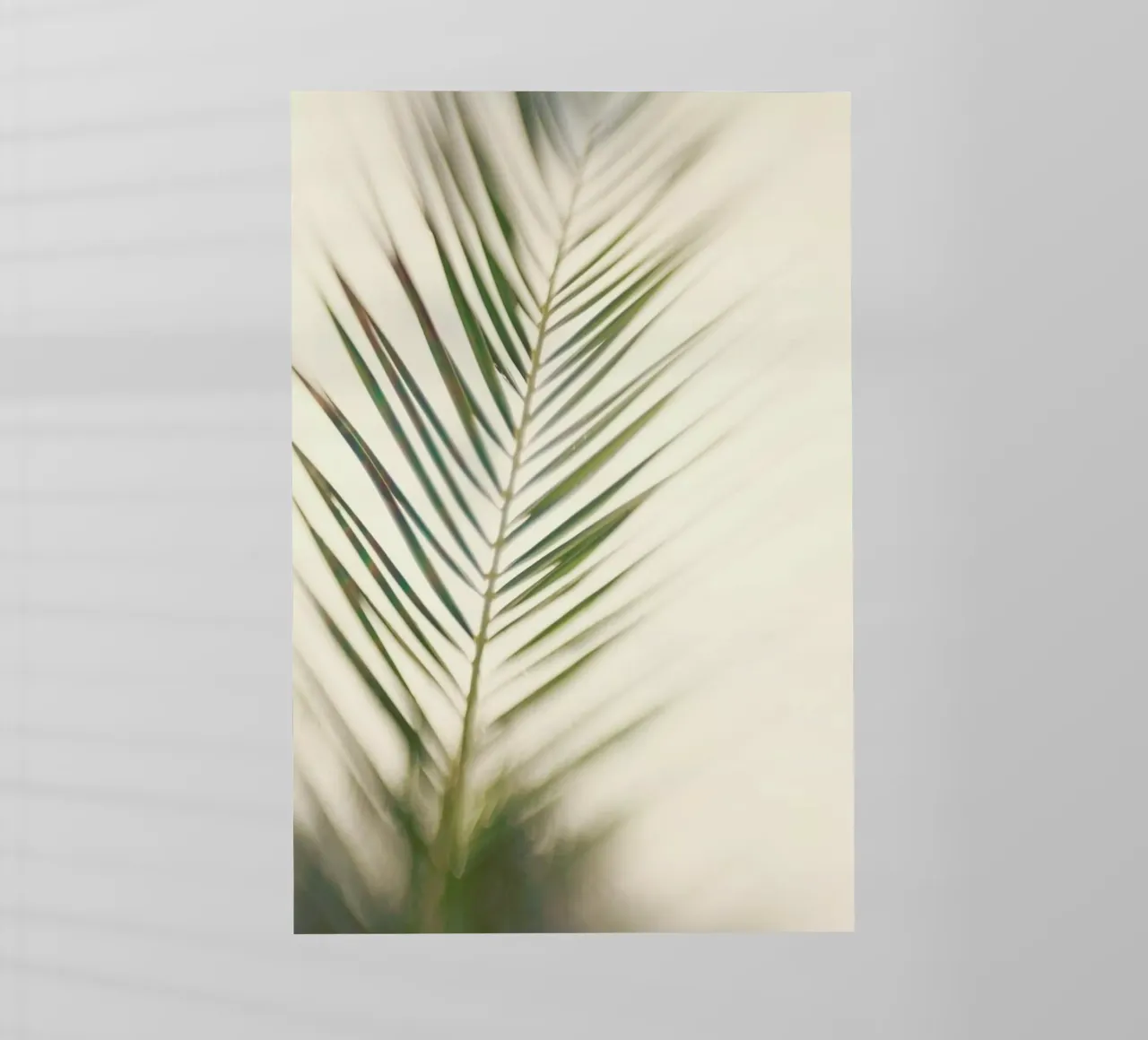 Shade pellicola backlit da Catherine McDonald