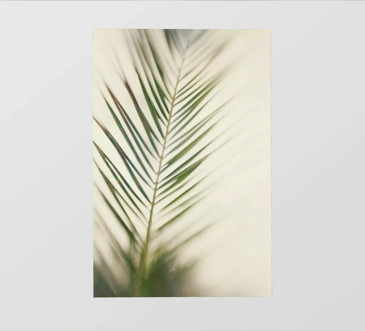 Shade pellicola backlit da Catherine McDonald