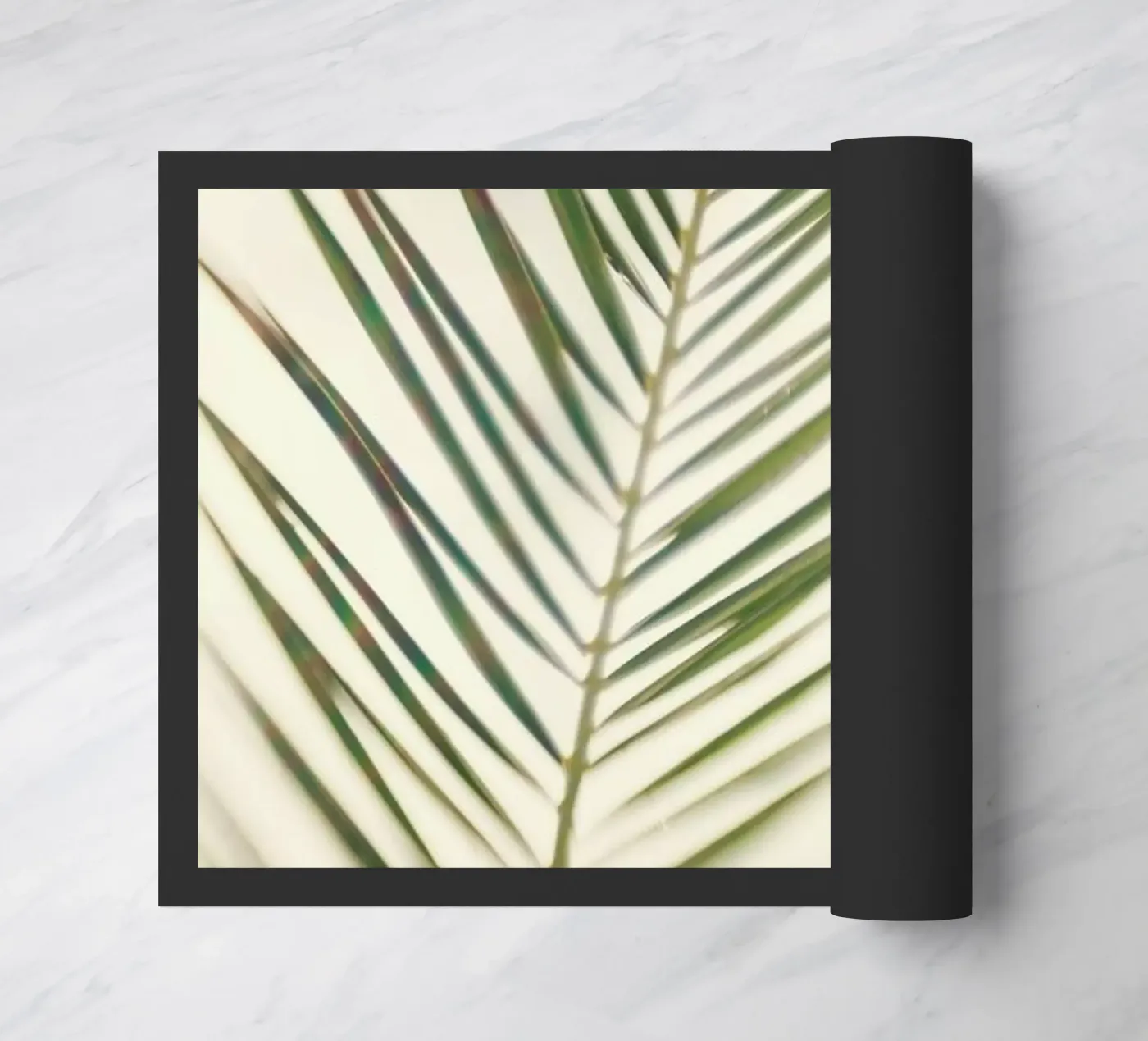 Shade zerbino da Catherine McDonald