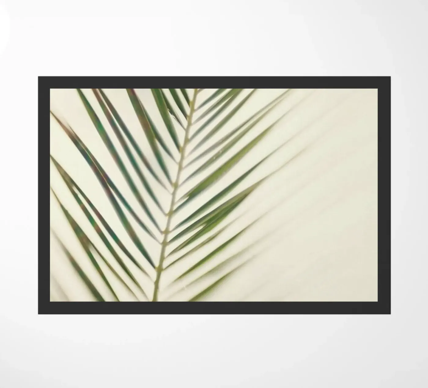 Shade zerbino da Catherine McDonald