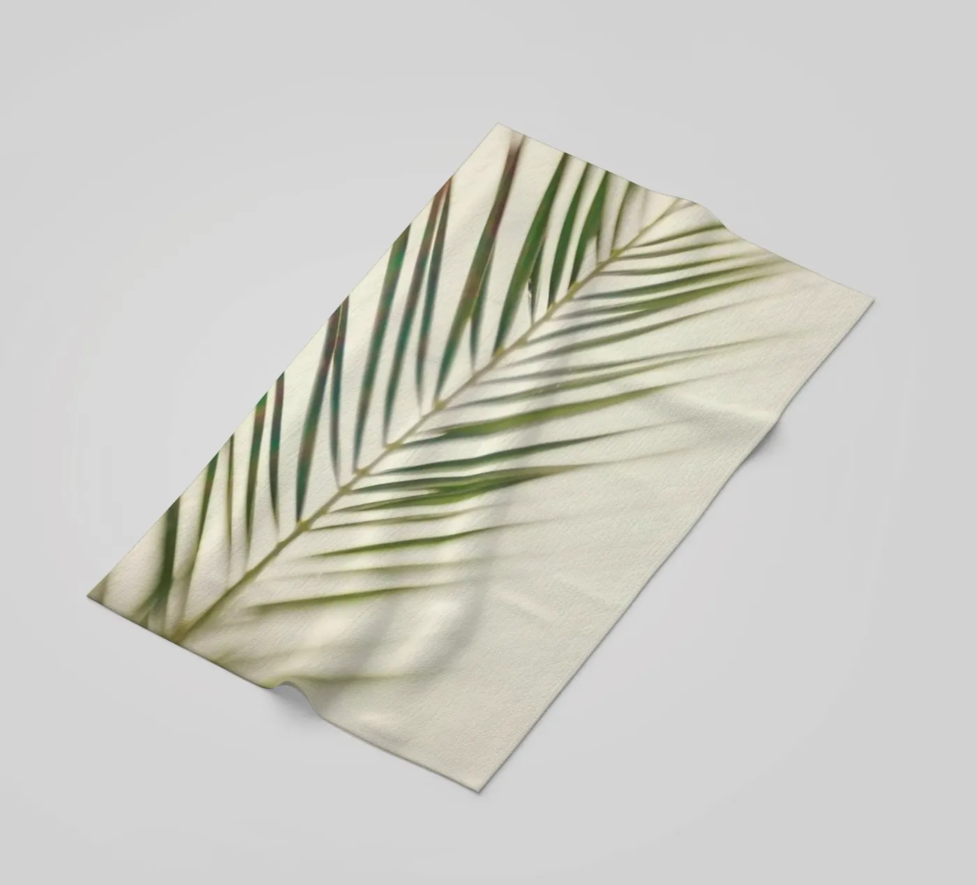 Shade telo mare da Catherine McDonald