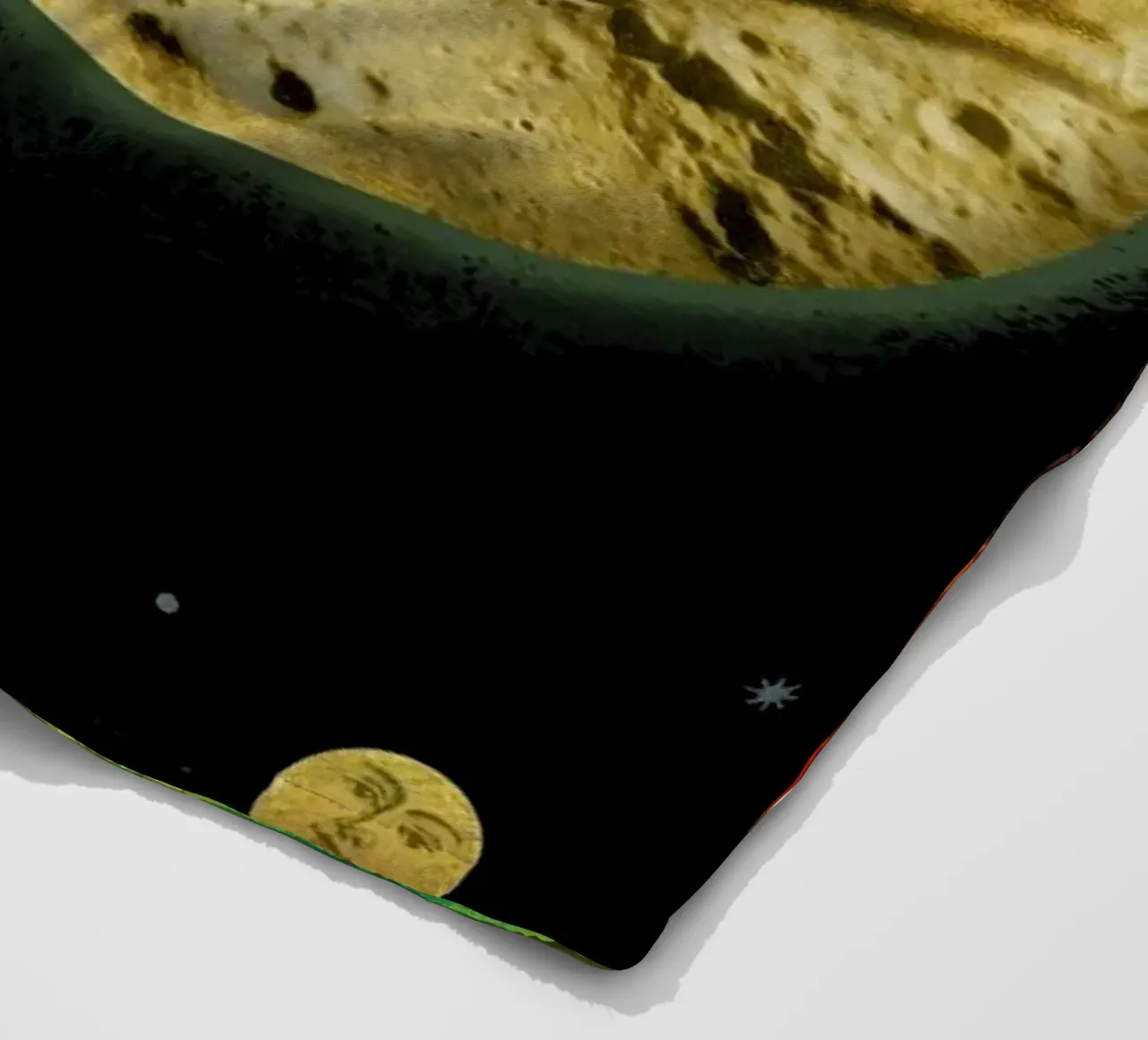 Looking For Life On Other Planets coperta in pile da Ellen Weinstein