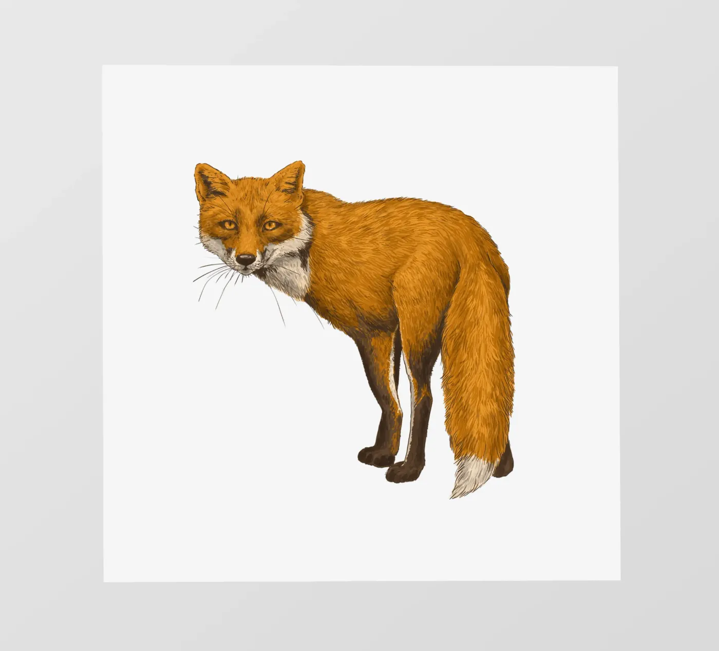 De vos fotobehang van Painted animals
