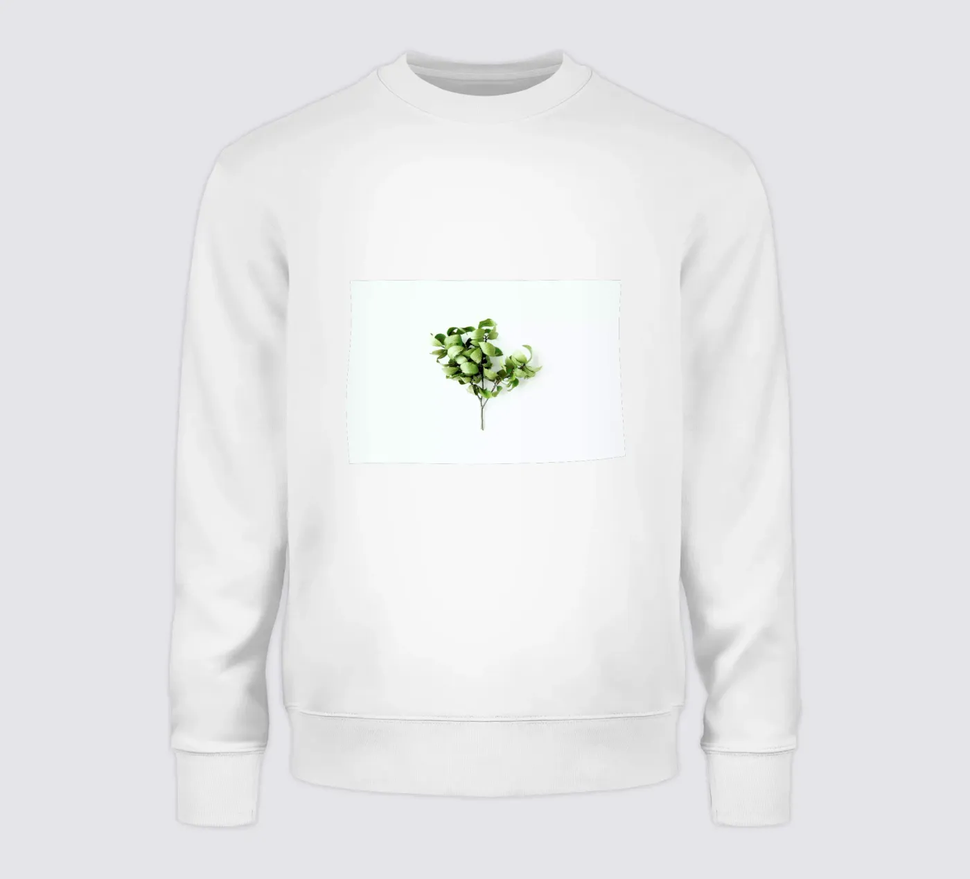 Tree sweatshirt by Miles of Light