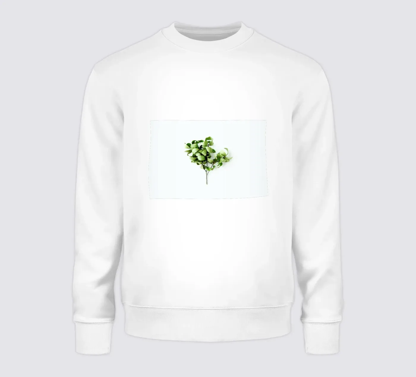 Tree sweatshirt by Miles of Light