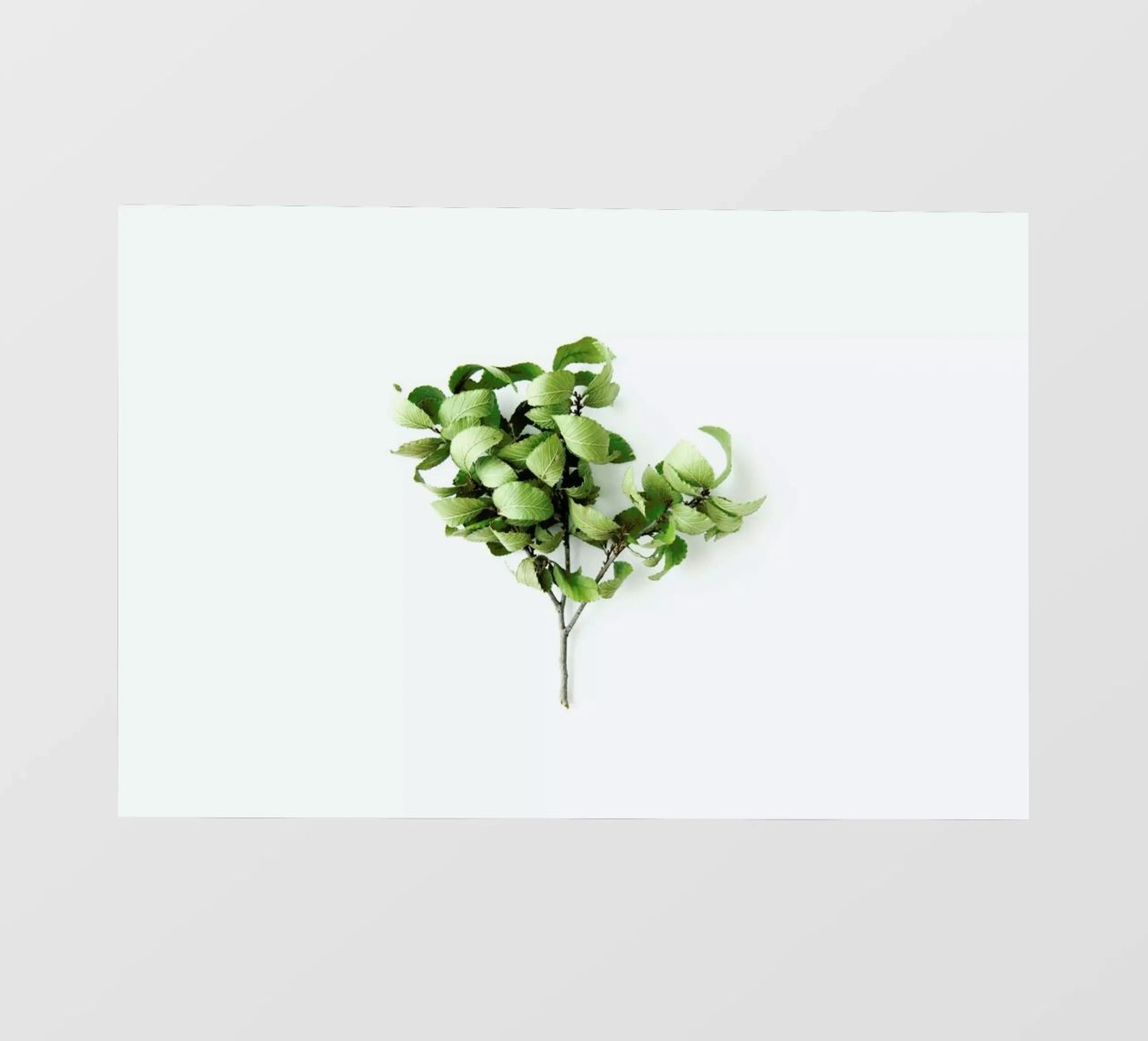 Tree telo in pvc da Miles of Light