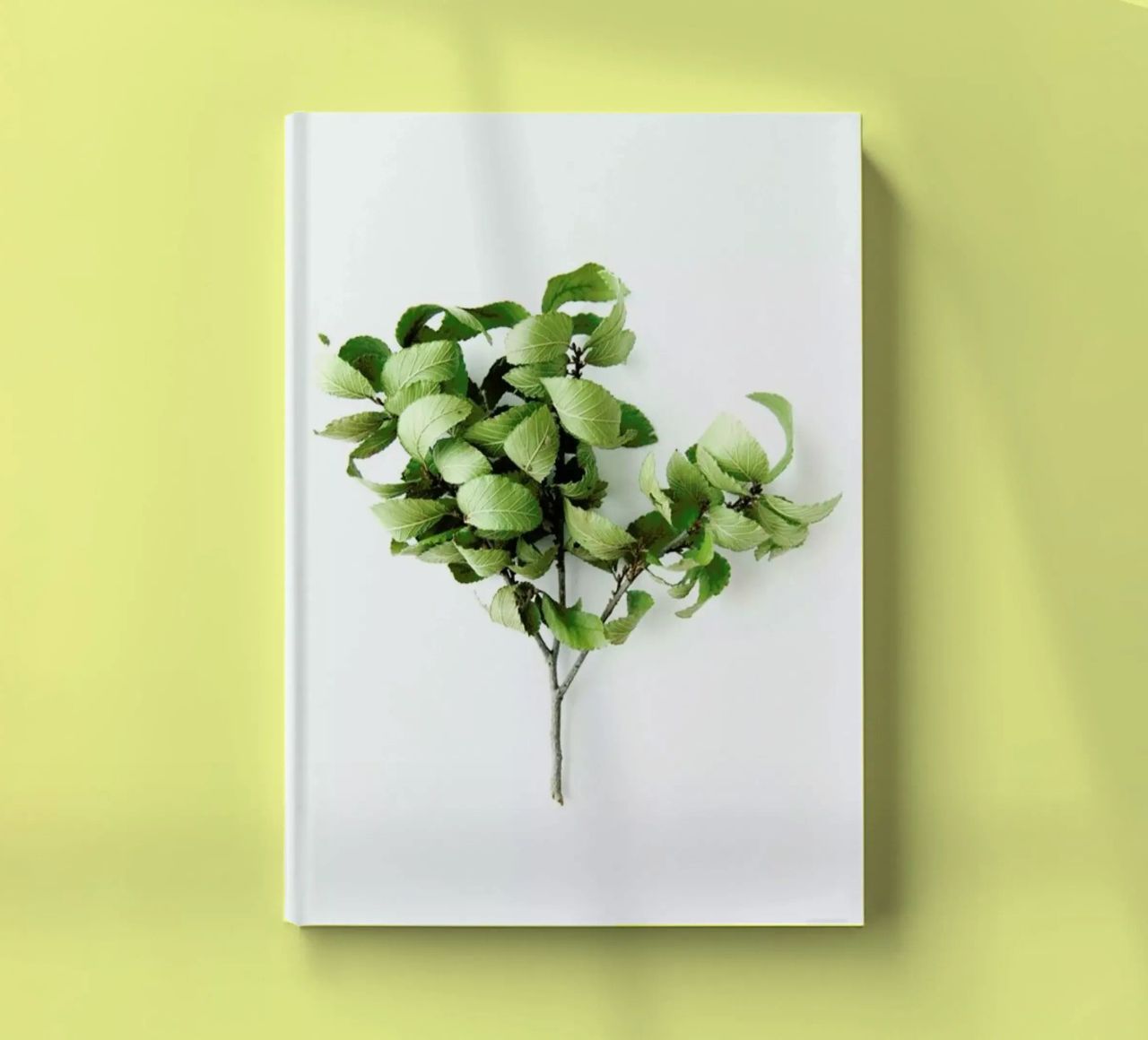 Tree notebook by Miles of Light