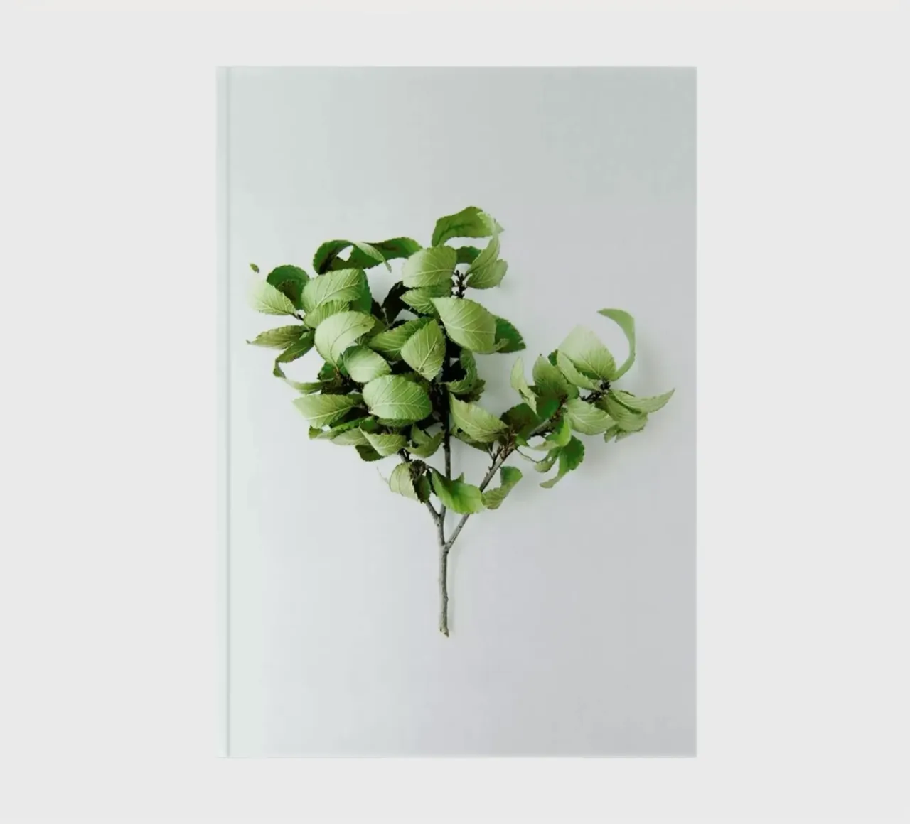 Tree Notizbuch von Miles of Light