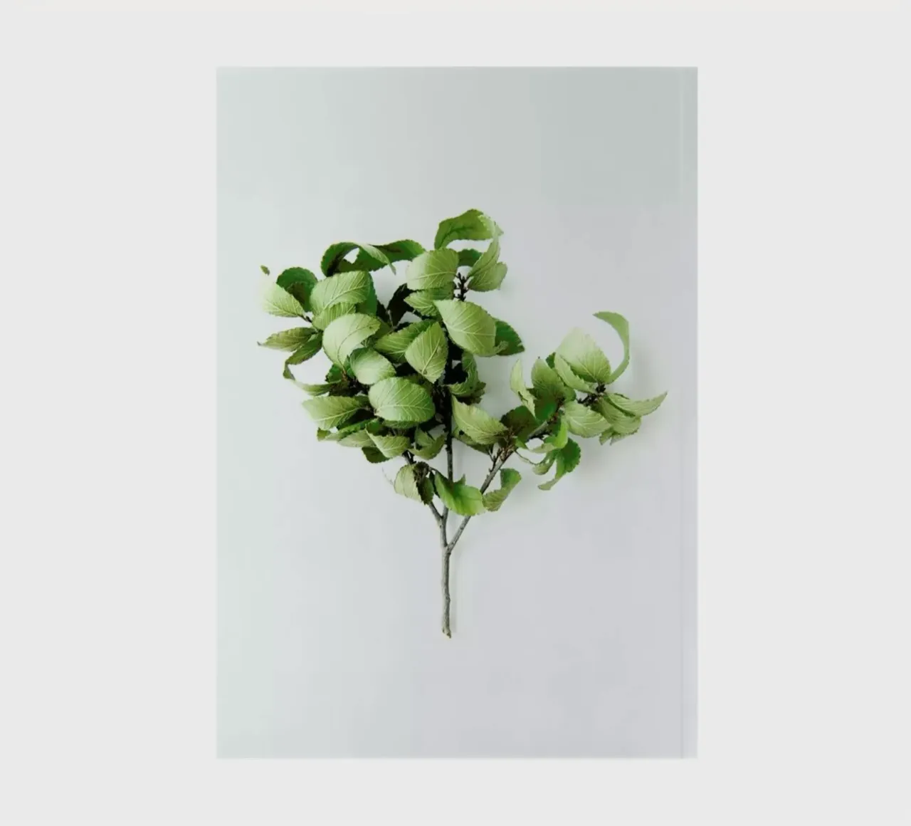 Tree Notizbuch von Miles of Light