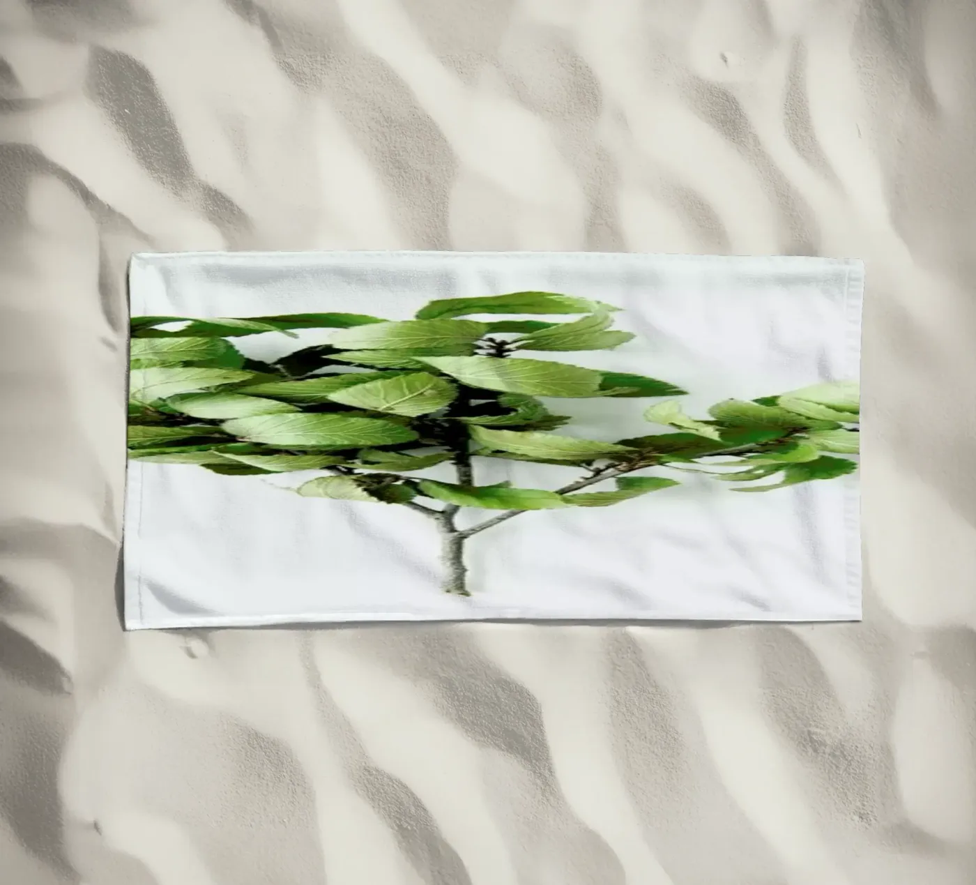 Tree telo mare da Miles of Light