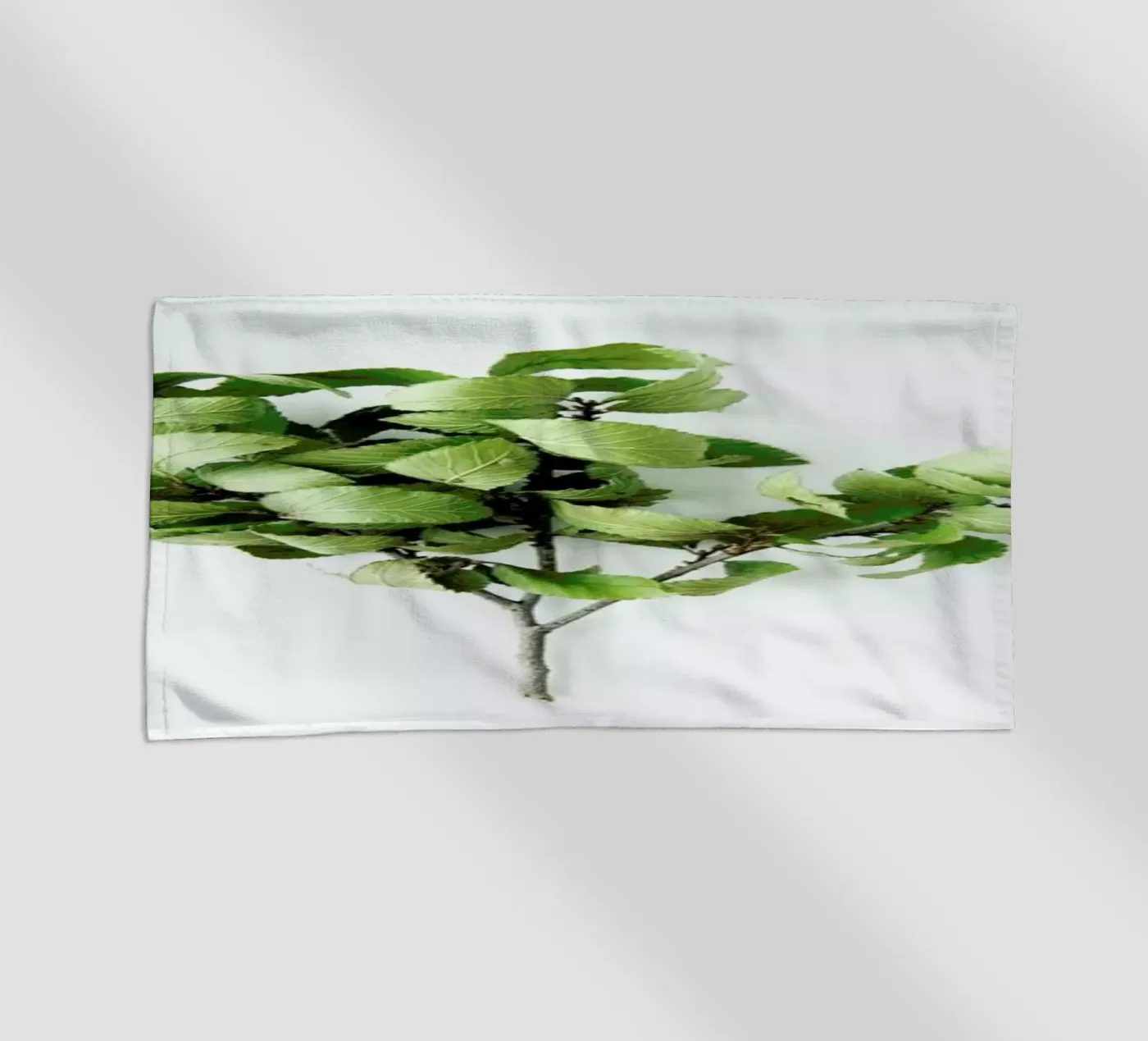 Tree telo mare da Miles of Light