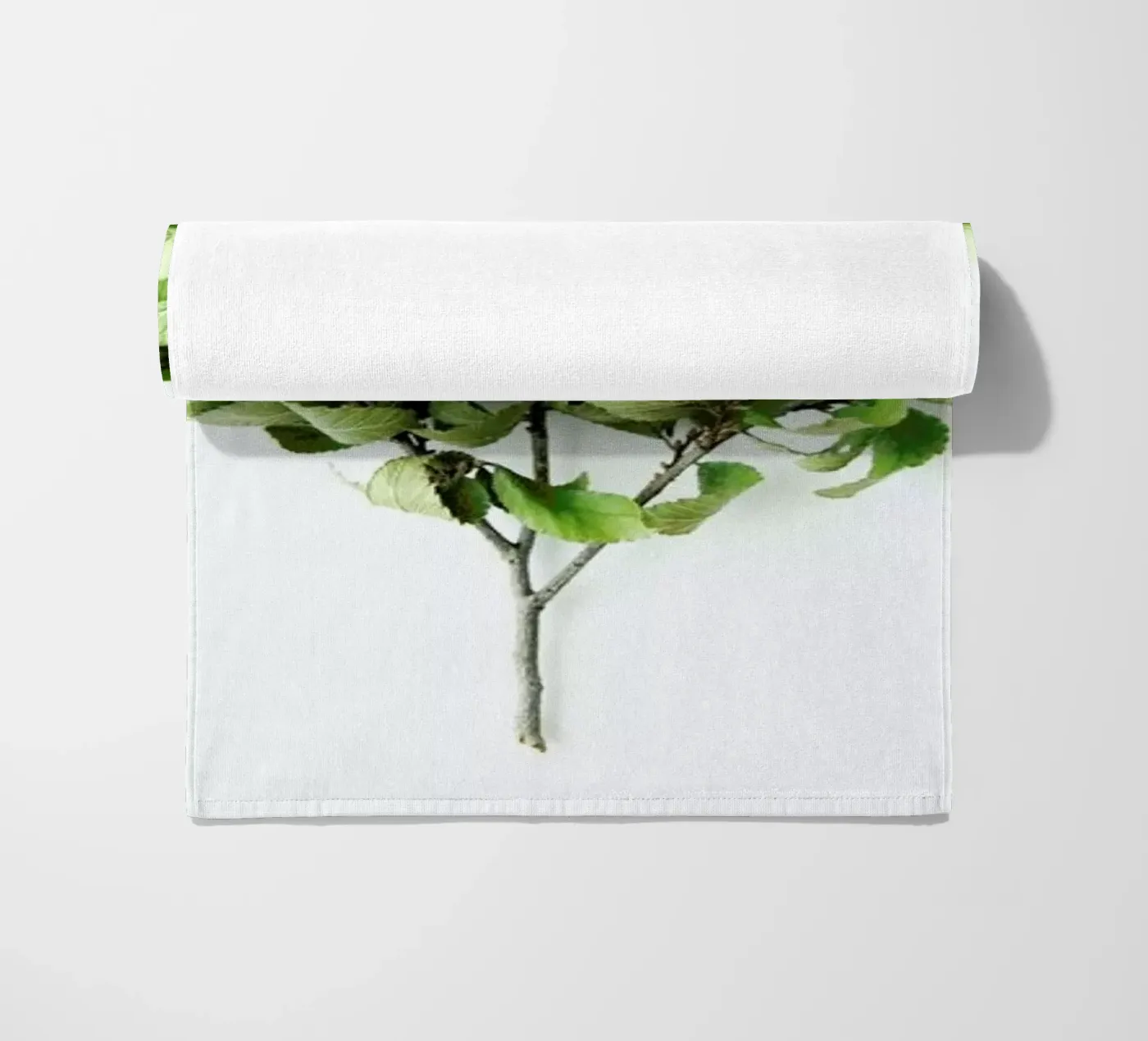 Tree telo mare da Miles of Light