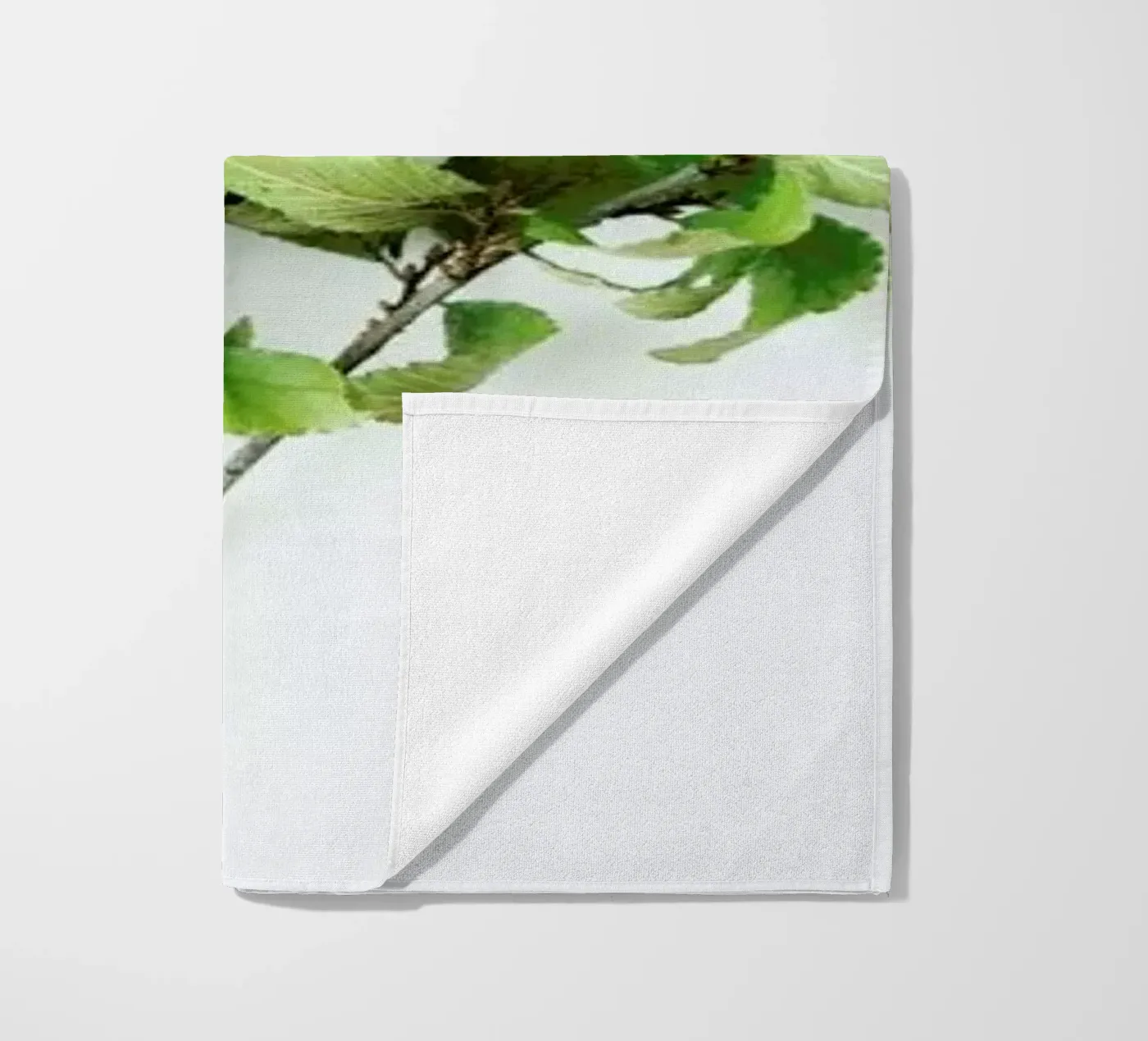 Tree telo mare da Miles of Light