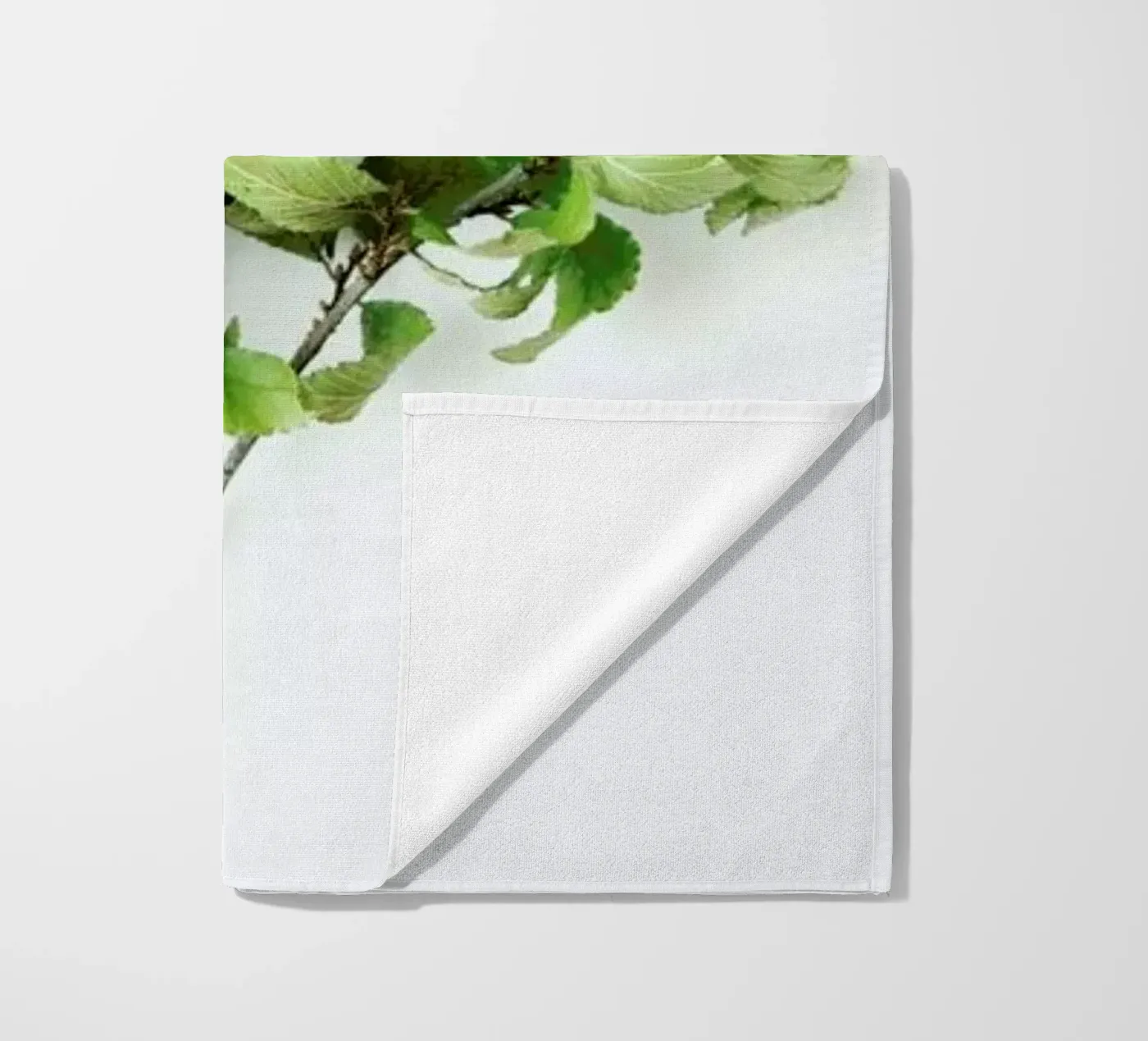 Tree telo mare da Miles of Light