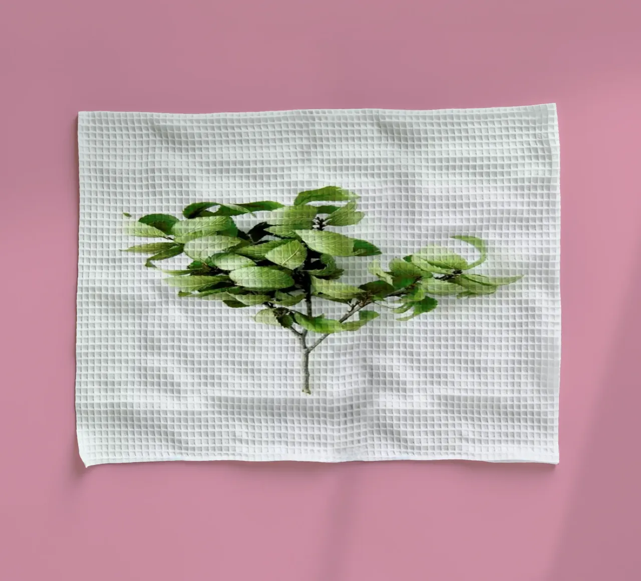 Tree Geschirrtuch von Miles of Light