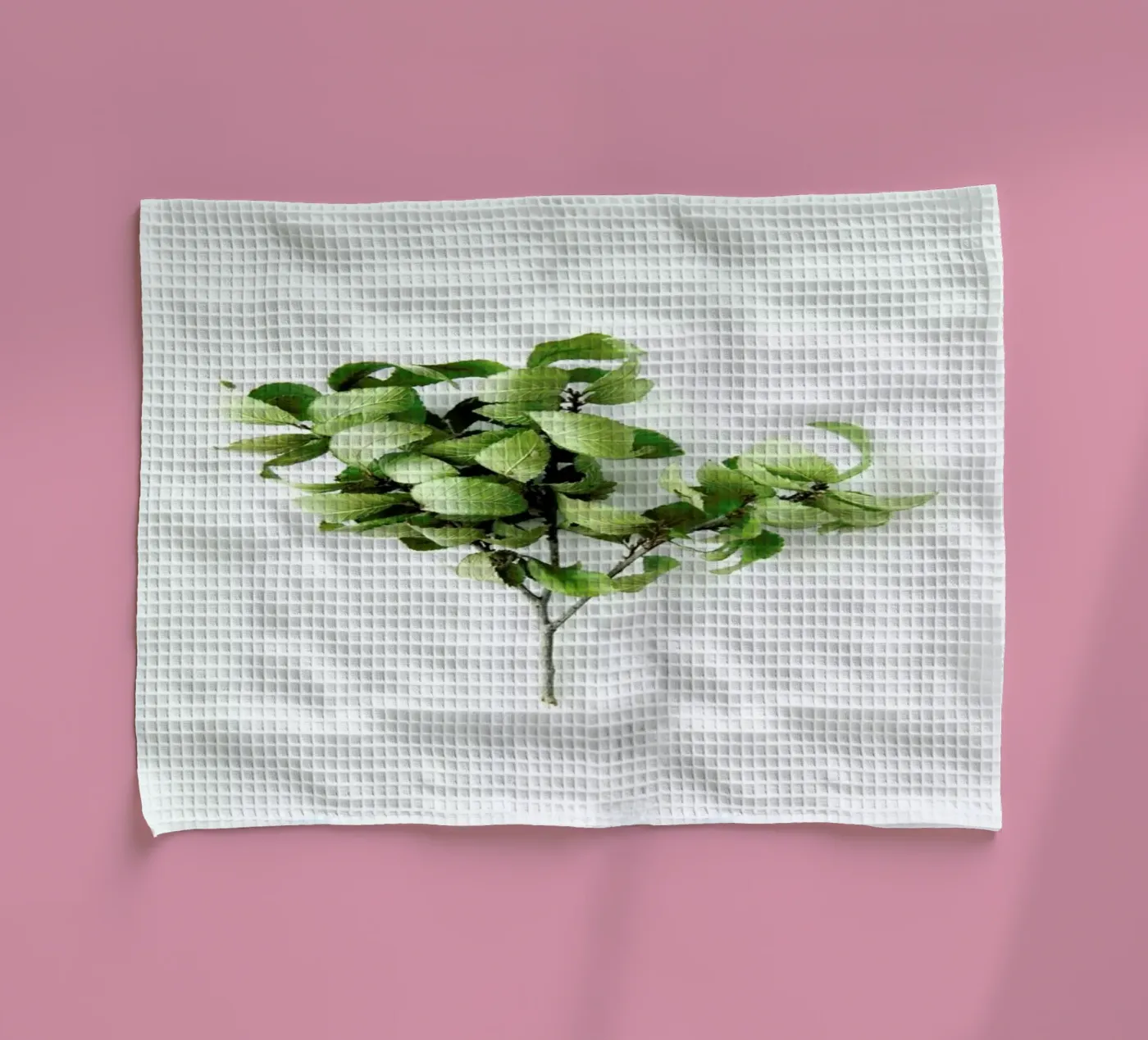 Tree Geschirrtuch von Miles of Light