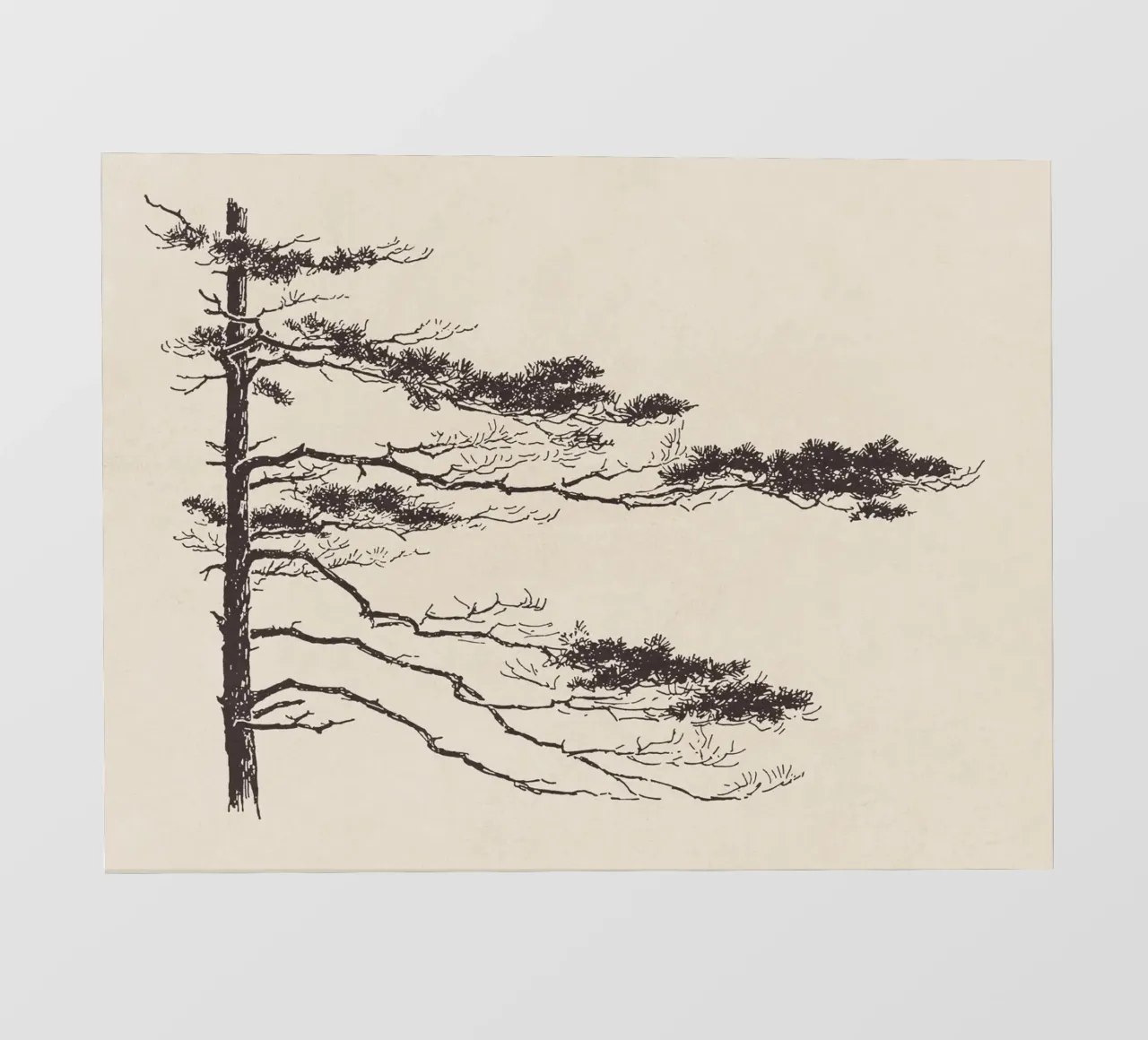 Pine Tree Branch no. 2 telo in pvc da apoloprints