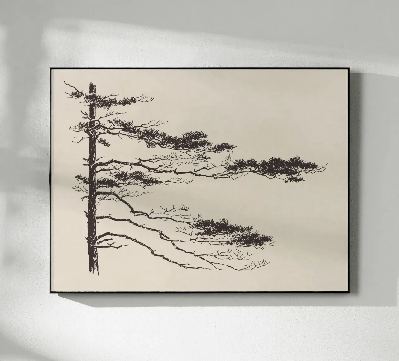 Pine Tree Branch no. 2 plexiglass da apoloprints