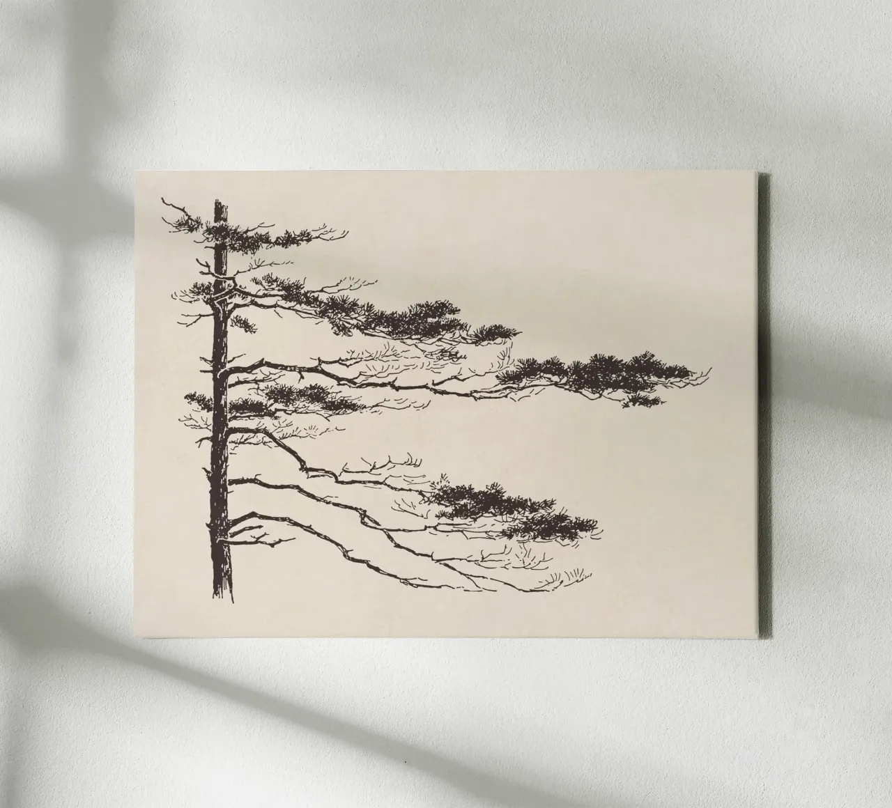 Pine Tree Branch no. 2 tela da apoloprints