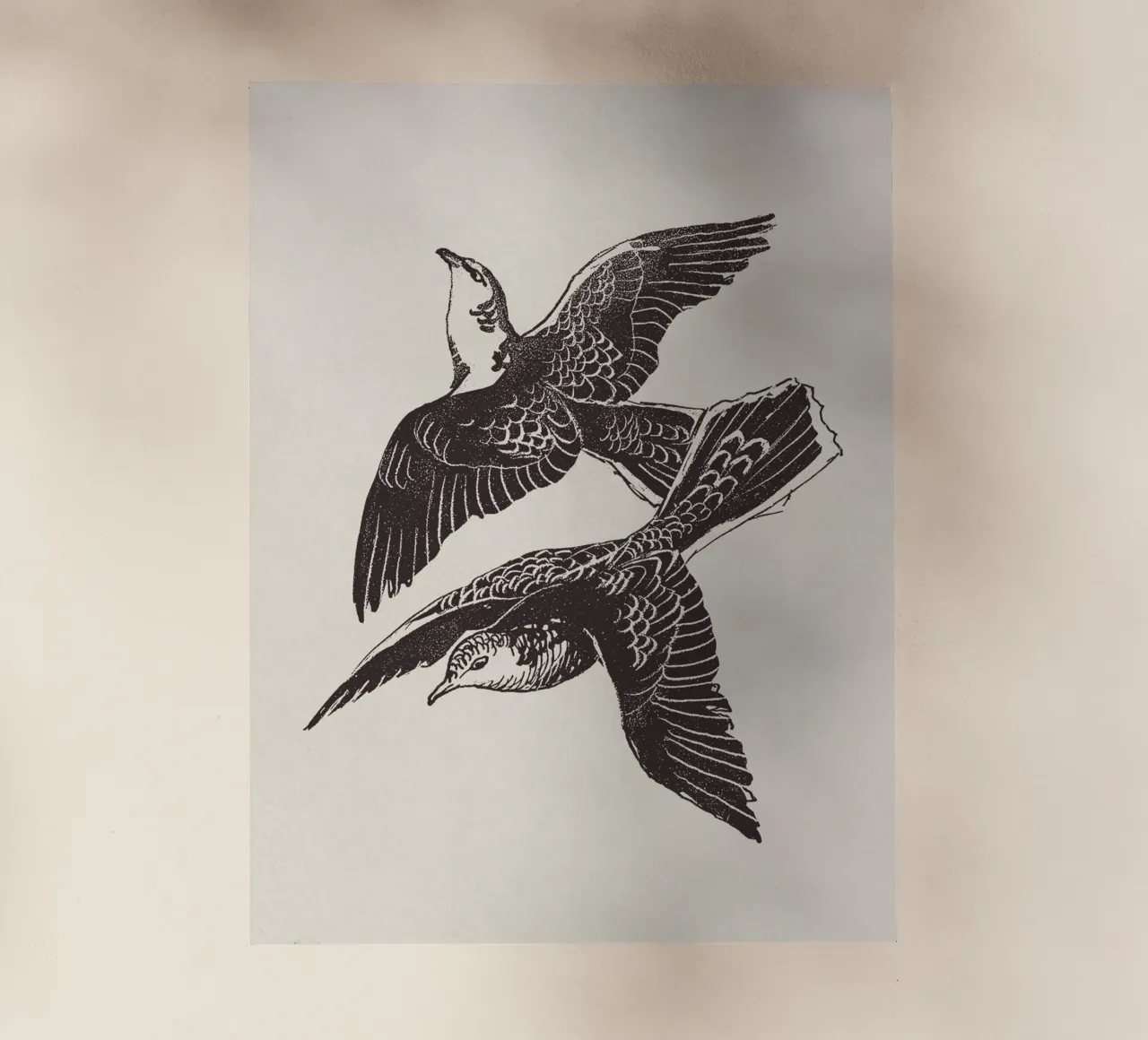 Two Birds in Flight pellicola backlit da apoloprints