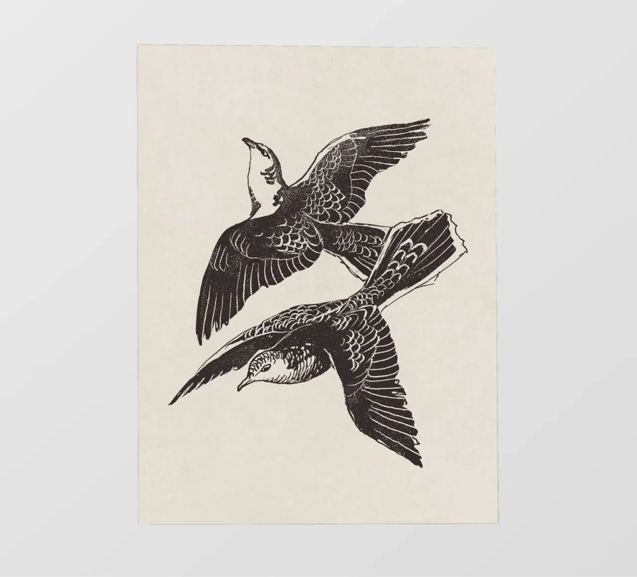 Two Birds in Flight photo wallpaper by apoloprints