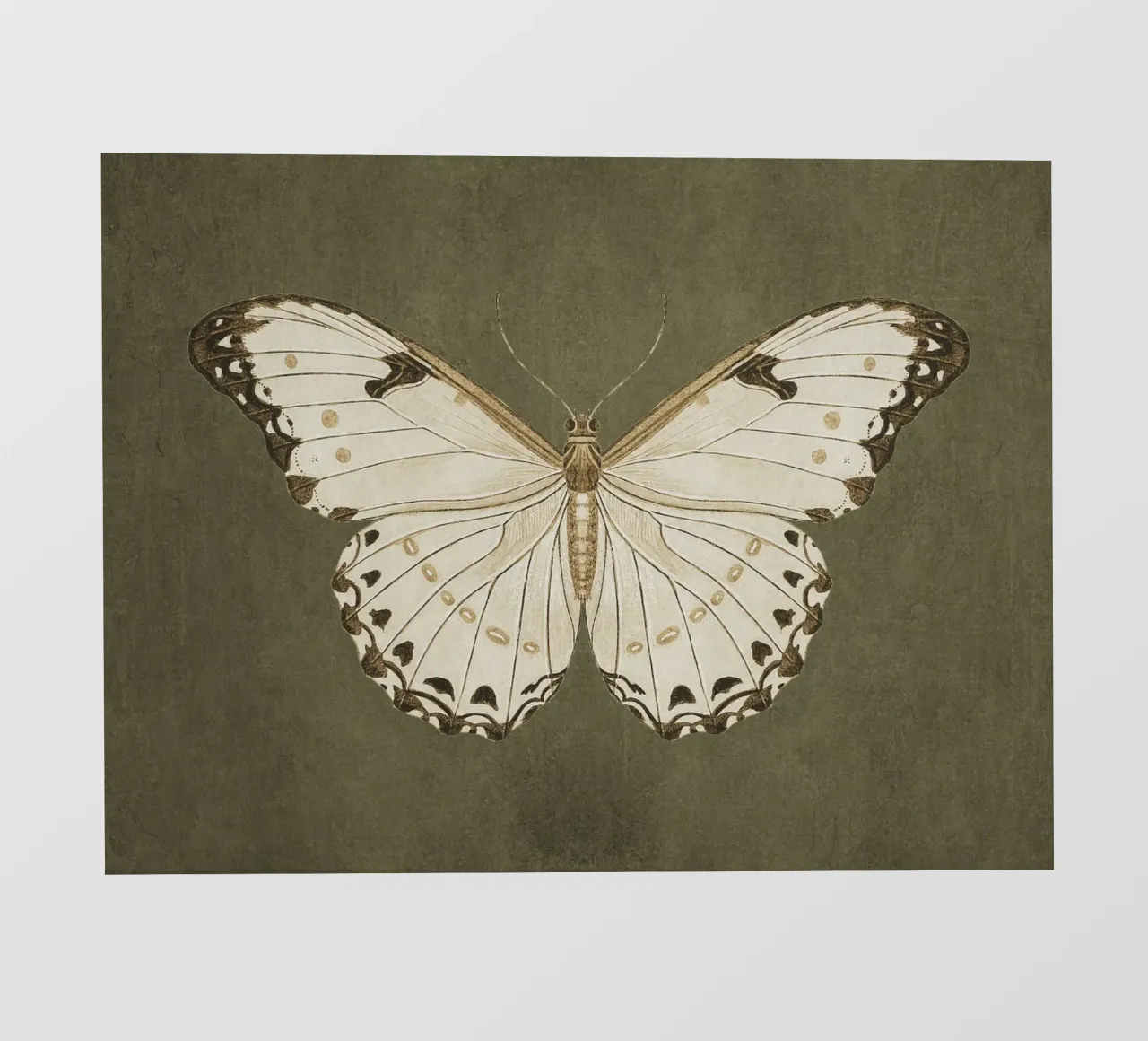 Moody Butterfly telo in pvc da apoloprints