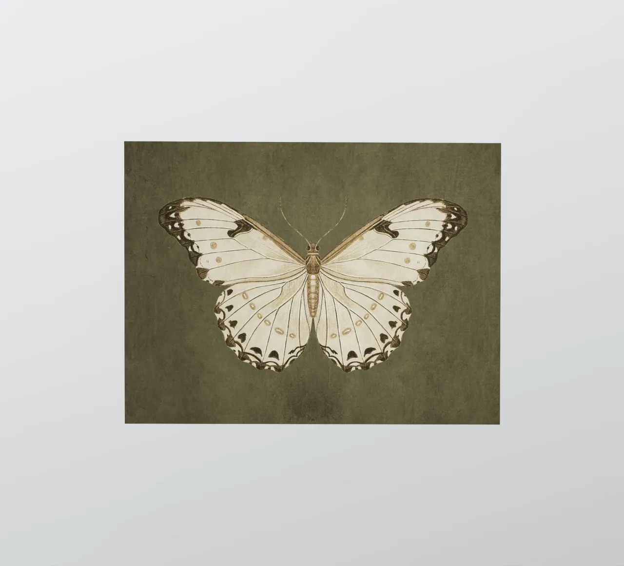 Moody Butterfly sticker by apoloprints