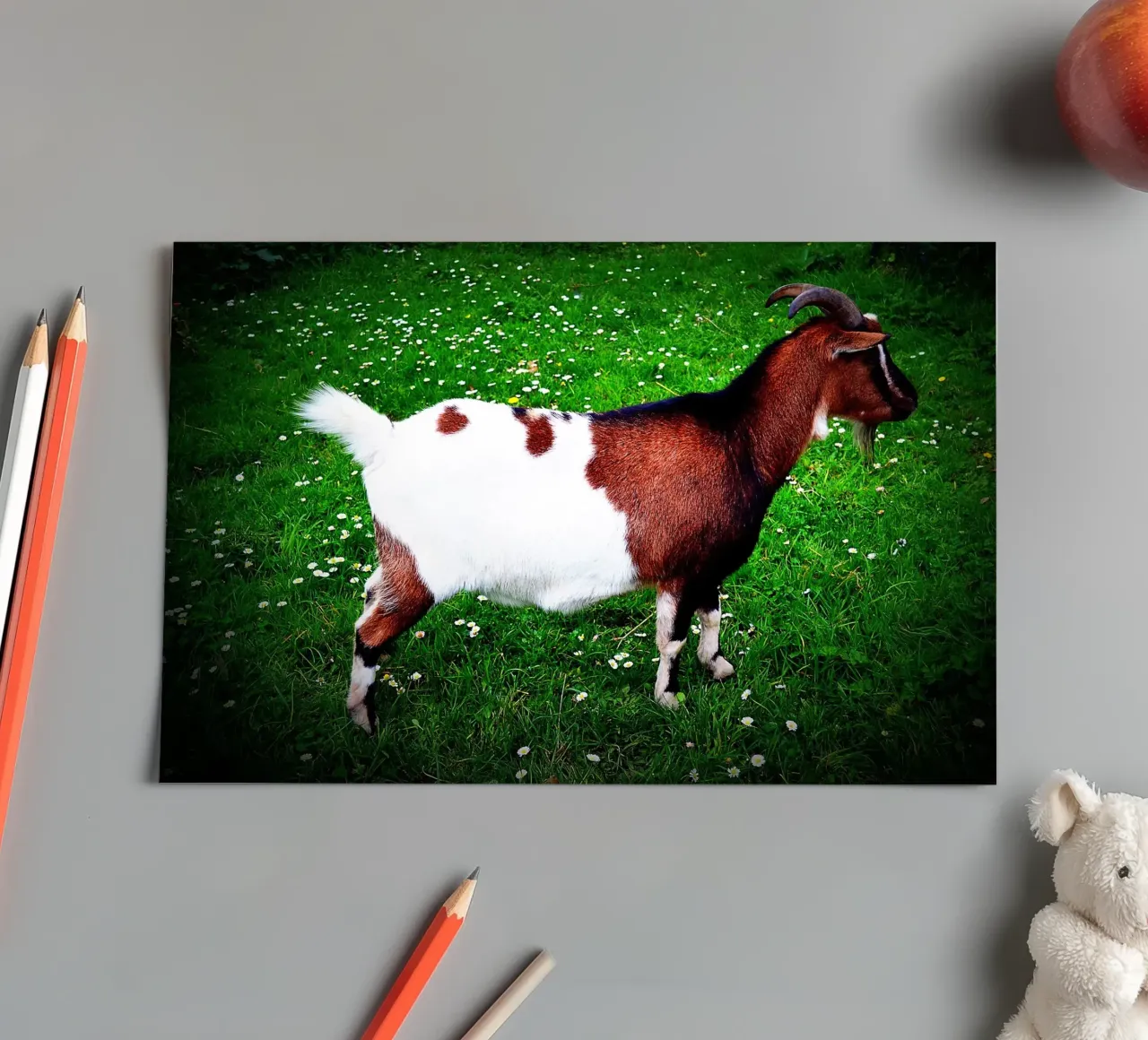 FAA135 sticker sheet by Thierry vobmann photography