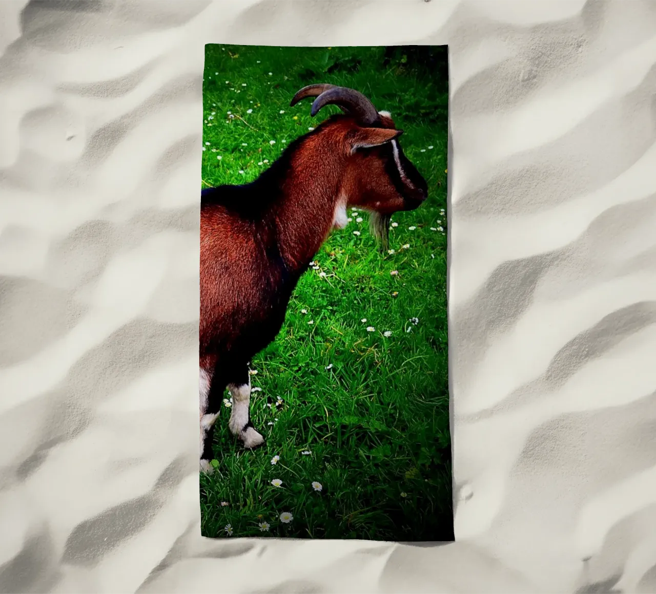 FAA135 telo mare da Thierry vobmann photography