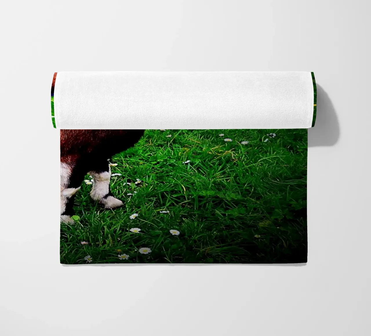 FAA135 telo mare da Thierry vobmann photography