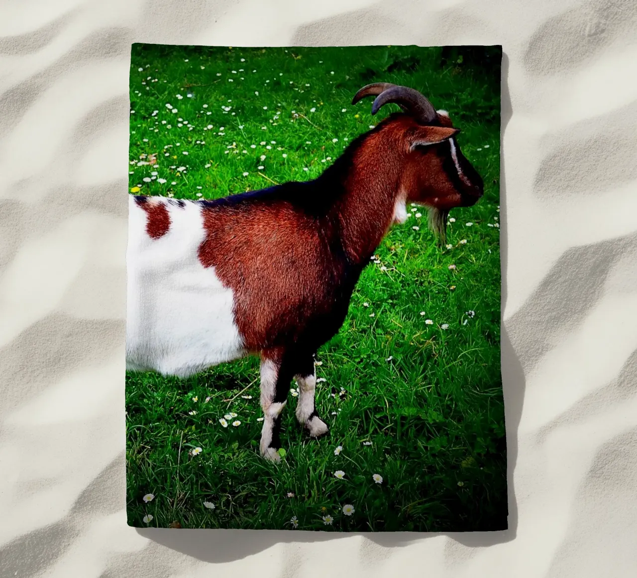 FAA135 telo mare da Thierry vobmann photography