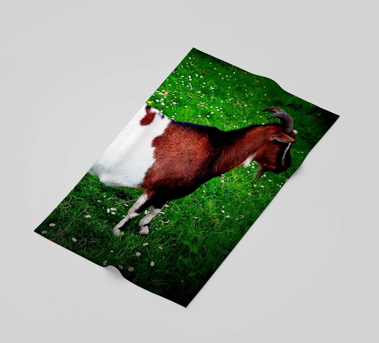 FAA135 telo mare da Thierry vobmann photography