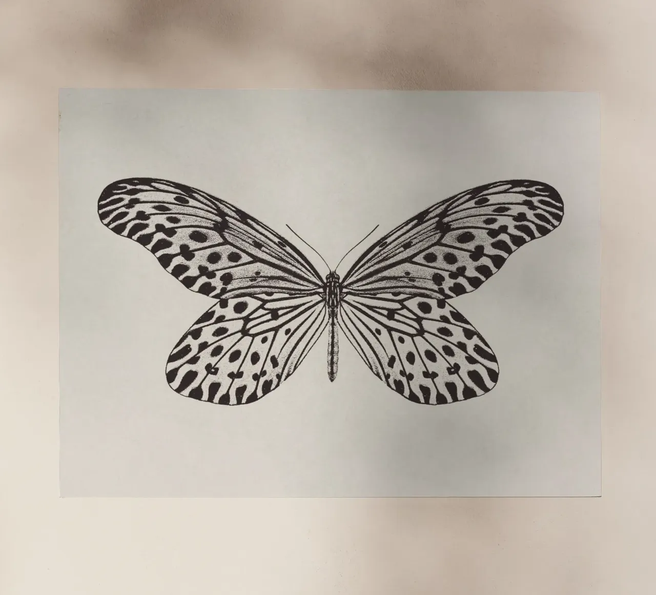 Butterfly Boho Sketch no. 1 pellicola backlit da apoloprints
