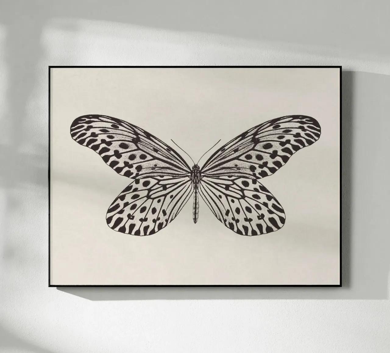 Butterfly Boho Sketch no. 1 plexiglass da apoloprints